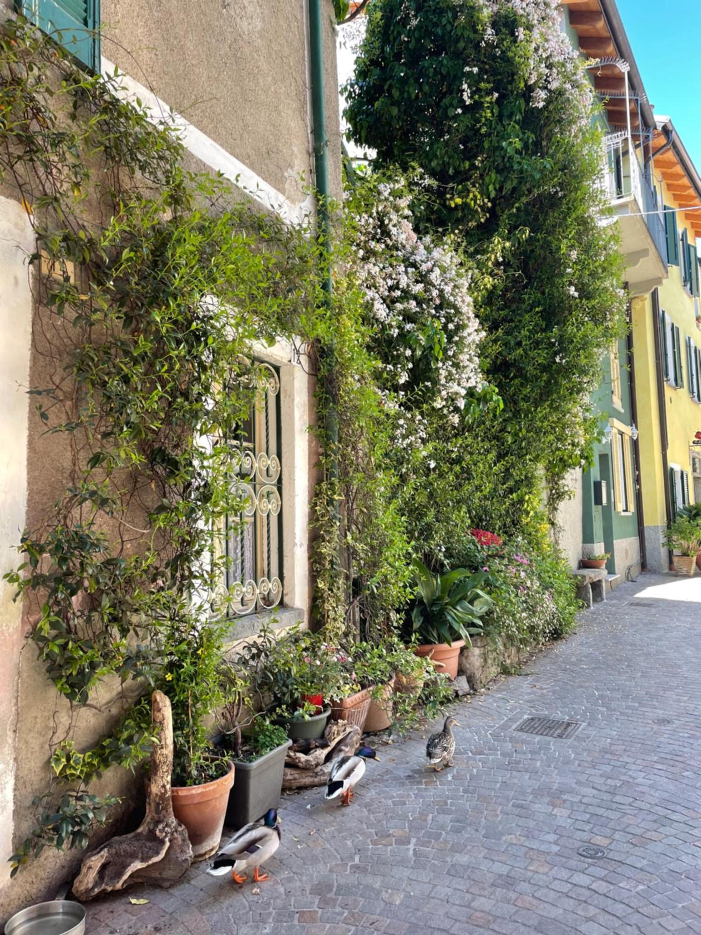La Casa nei Vicoli: in Centro a Due Passi dal Lago view 5