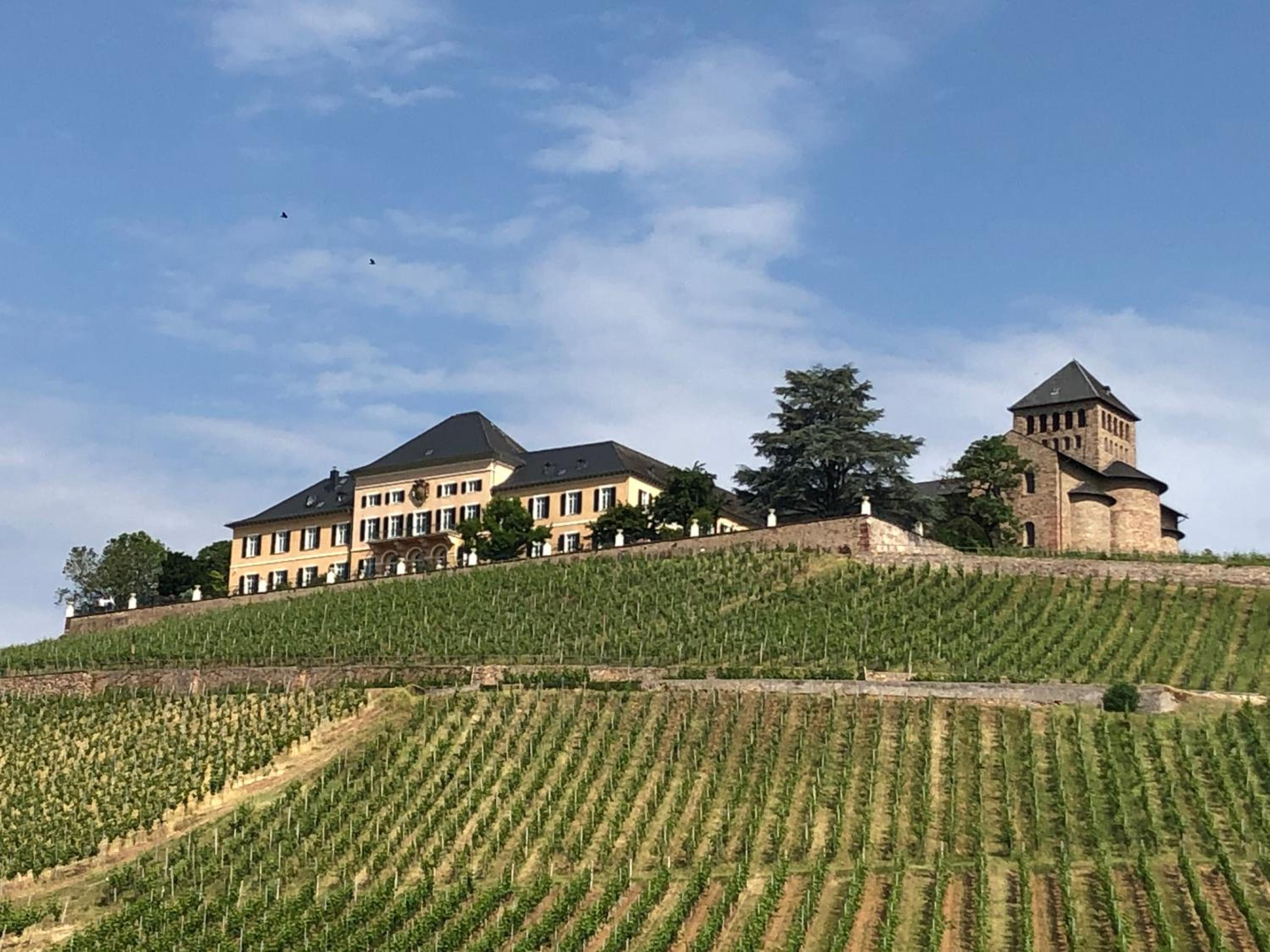 Rheingau und Weltkulturerbe Mittelrheintal erleben - Ferienappartement in Winkel