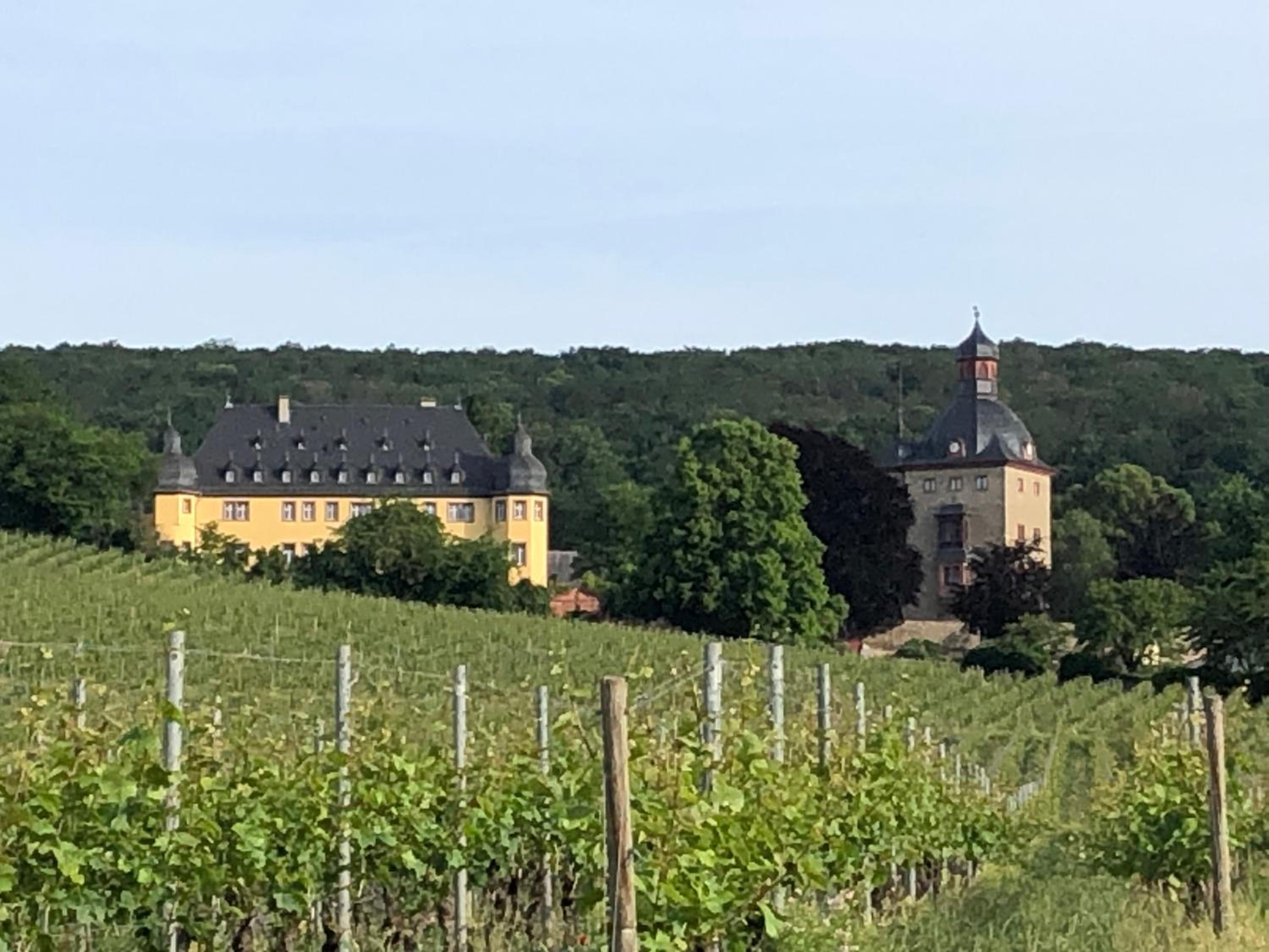 Rheingau und Weltkulturerbe Mittelrheintal erleben - Ferienappartement in Winkel