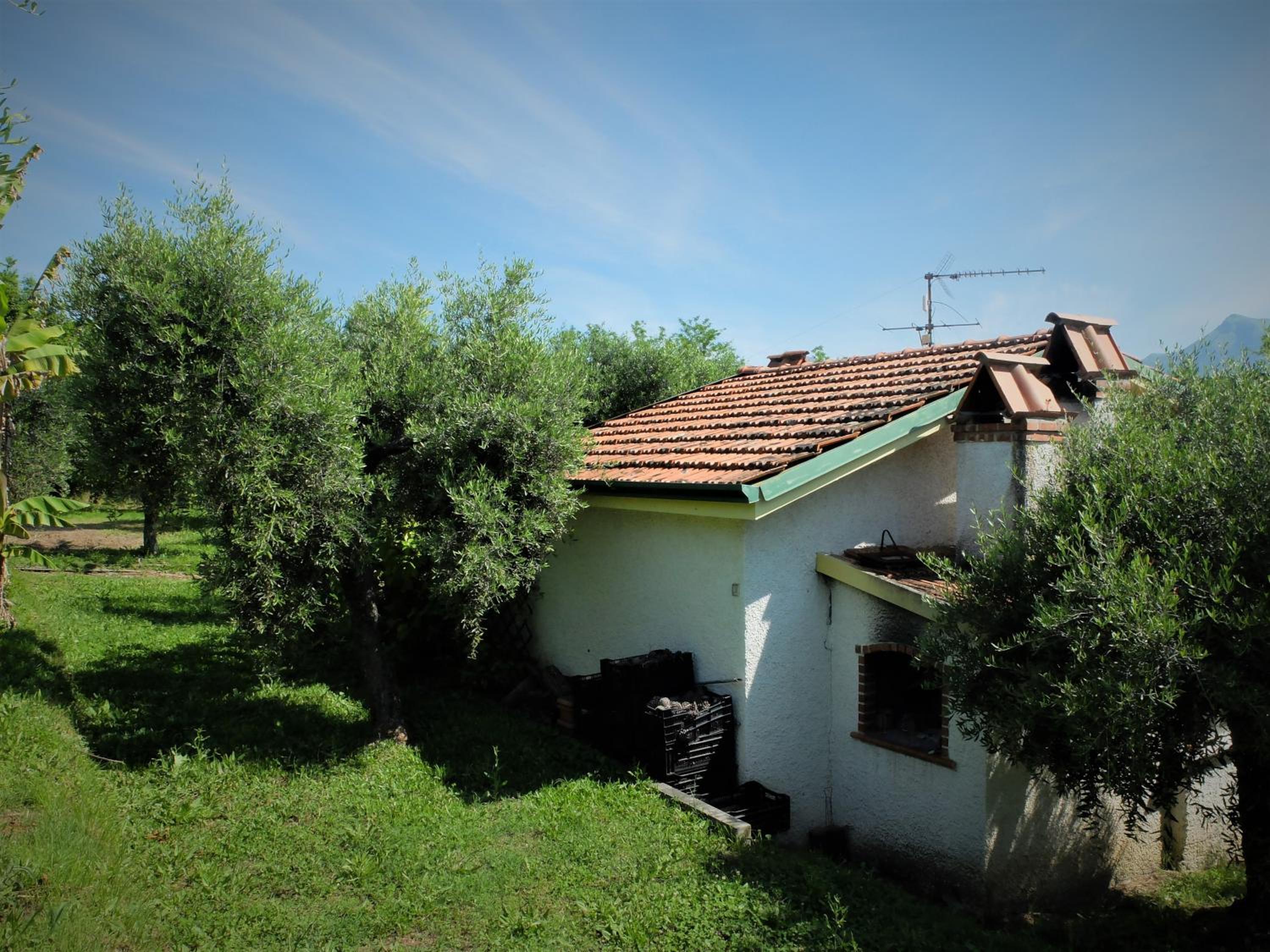 Photo 37