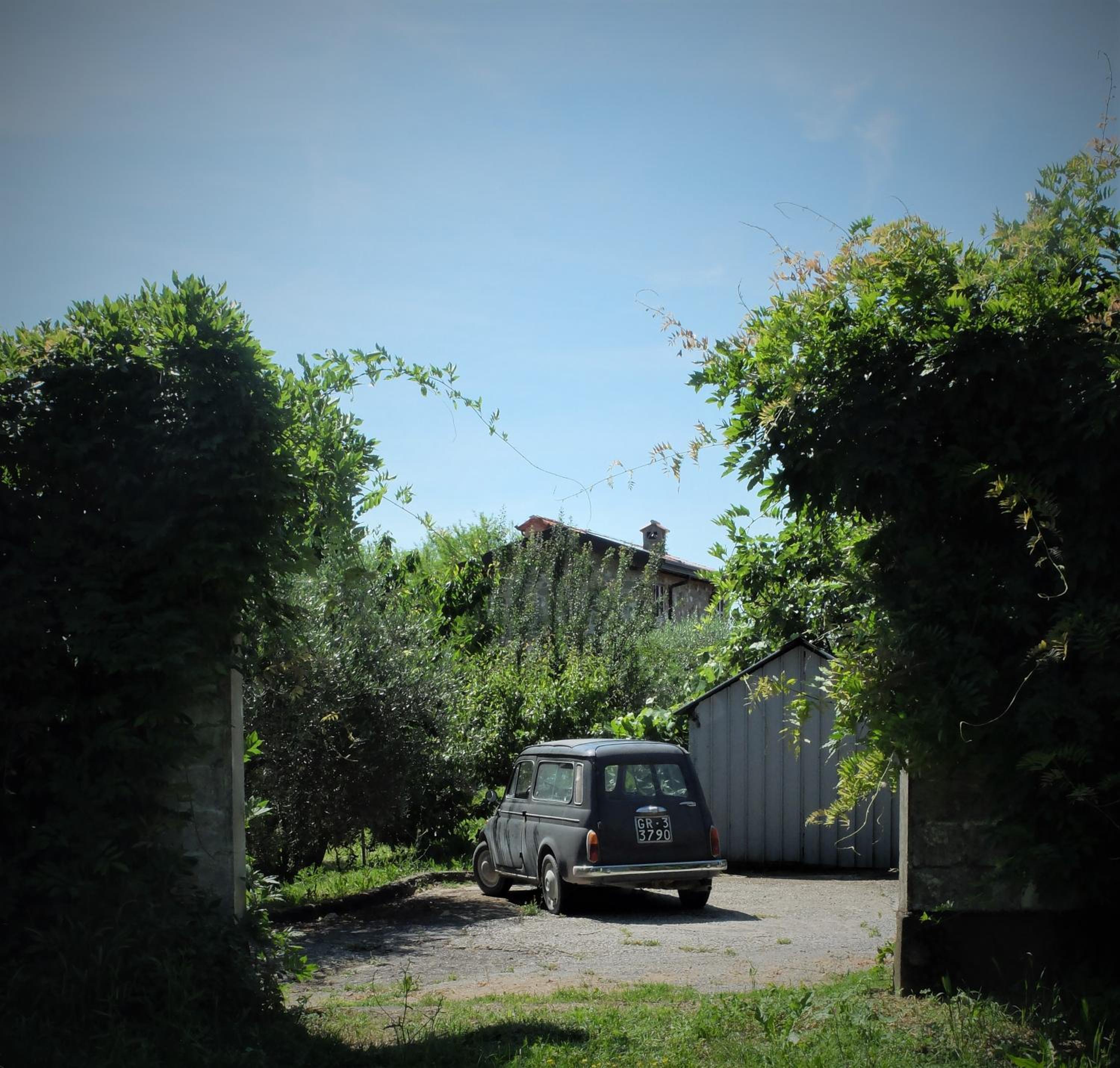 Photo 41