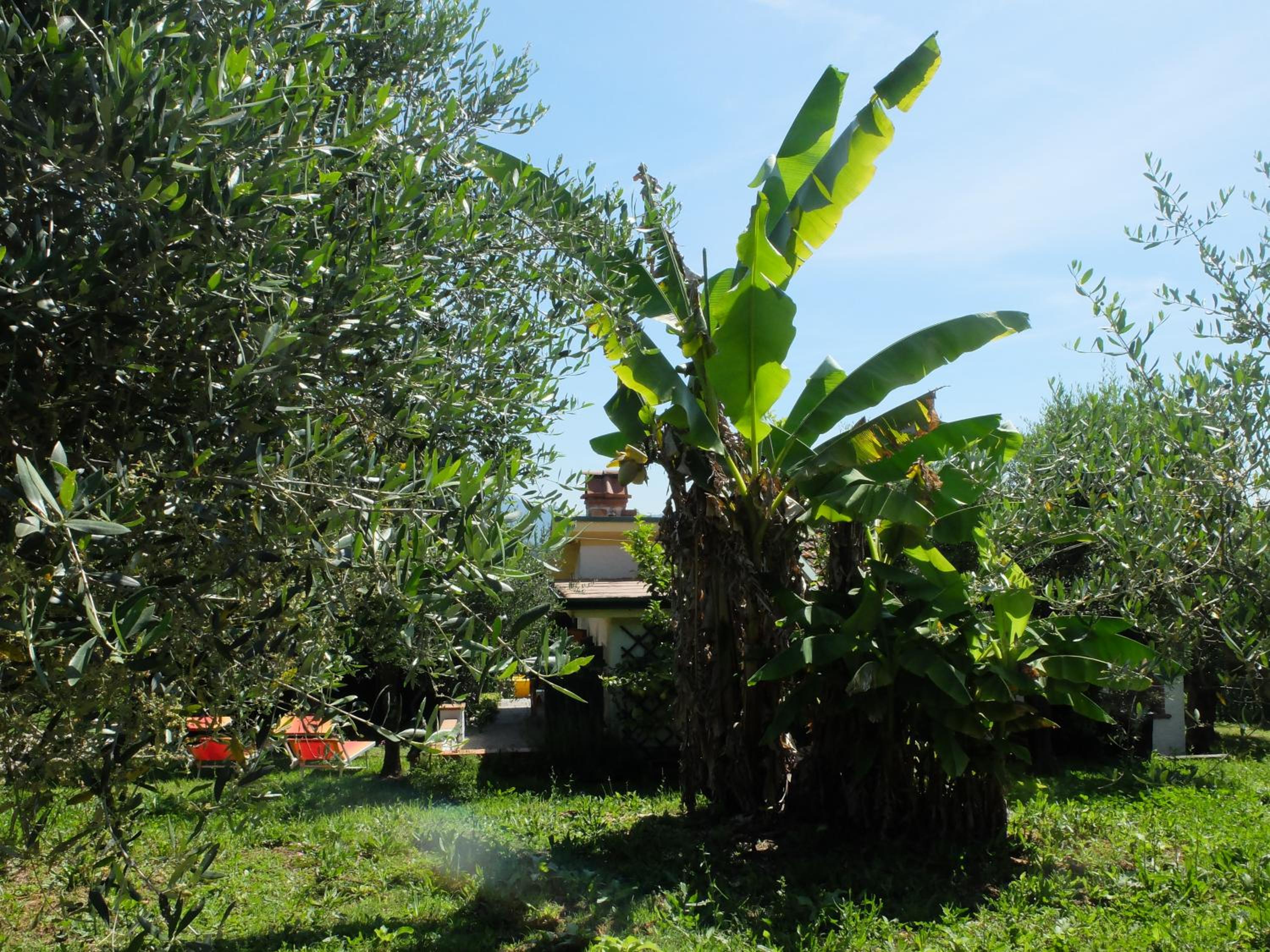 Photo 43