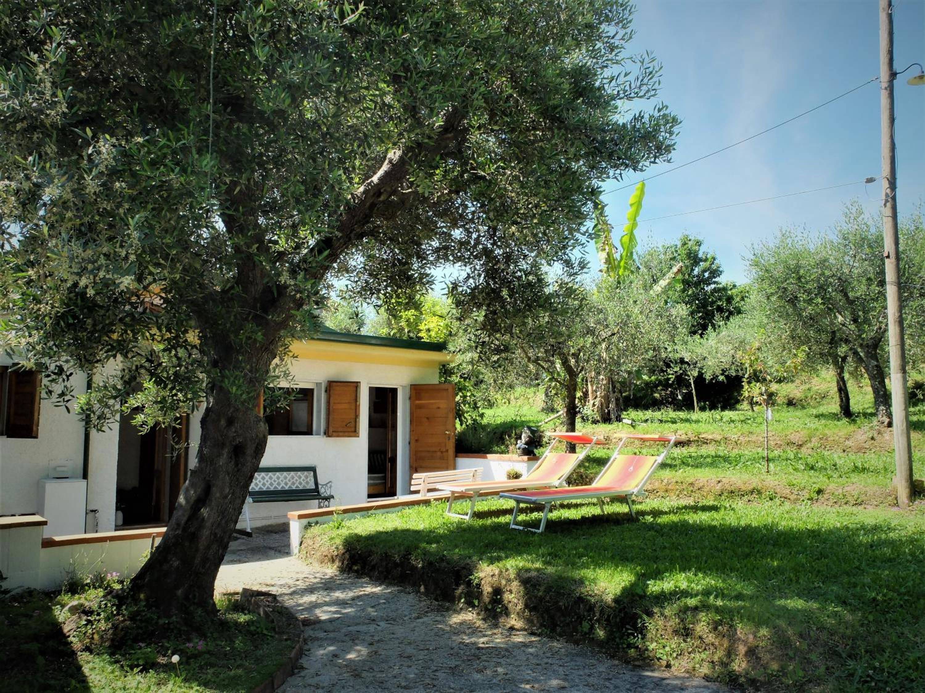 Casa il Banano view 4