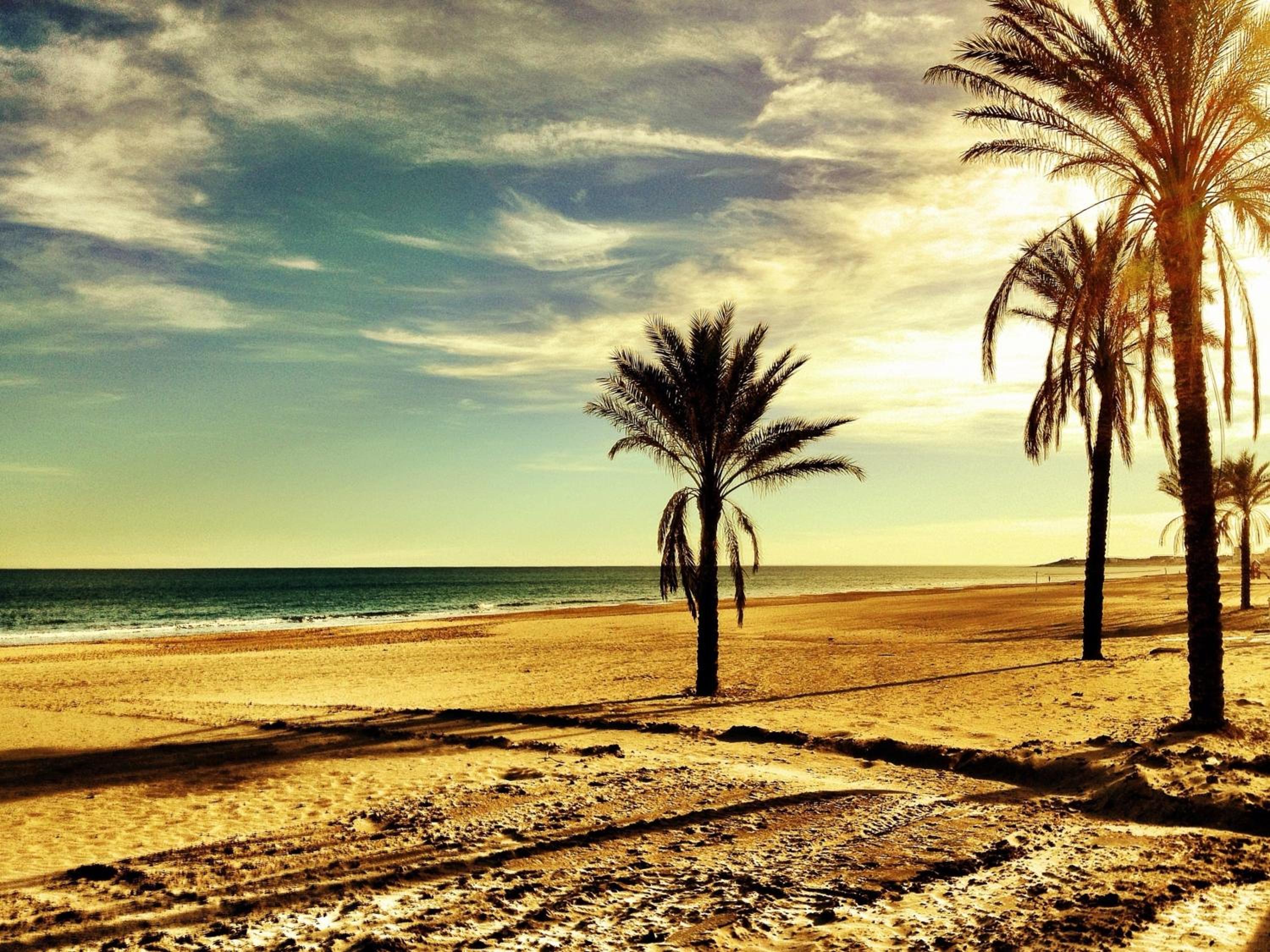 Sunny Duplex in front of Campello beach photo 2
