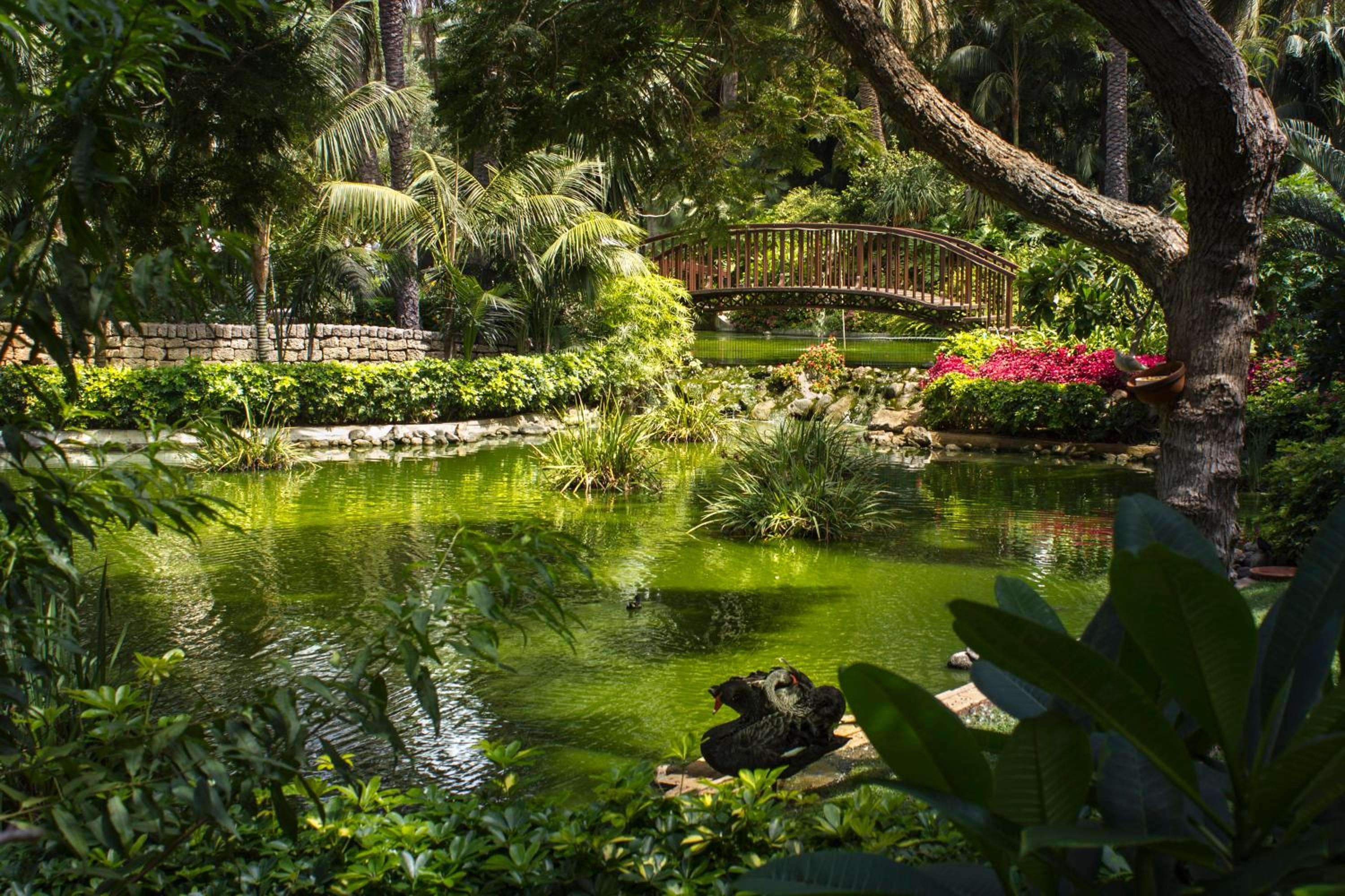 Puerto de la Cruz Vacations - Hotel Botanico y Oriental Spa Garden - Property Image 42