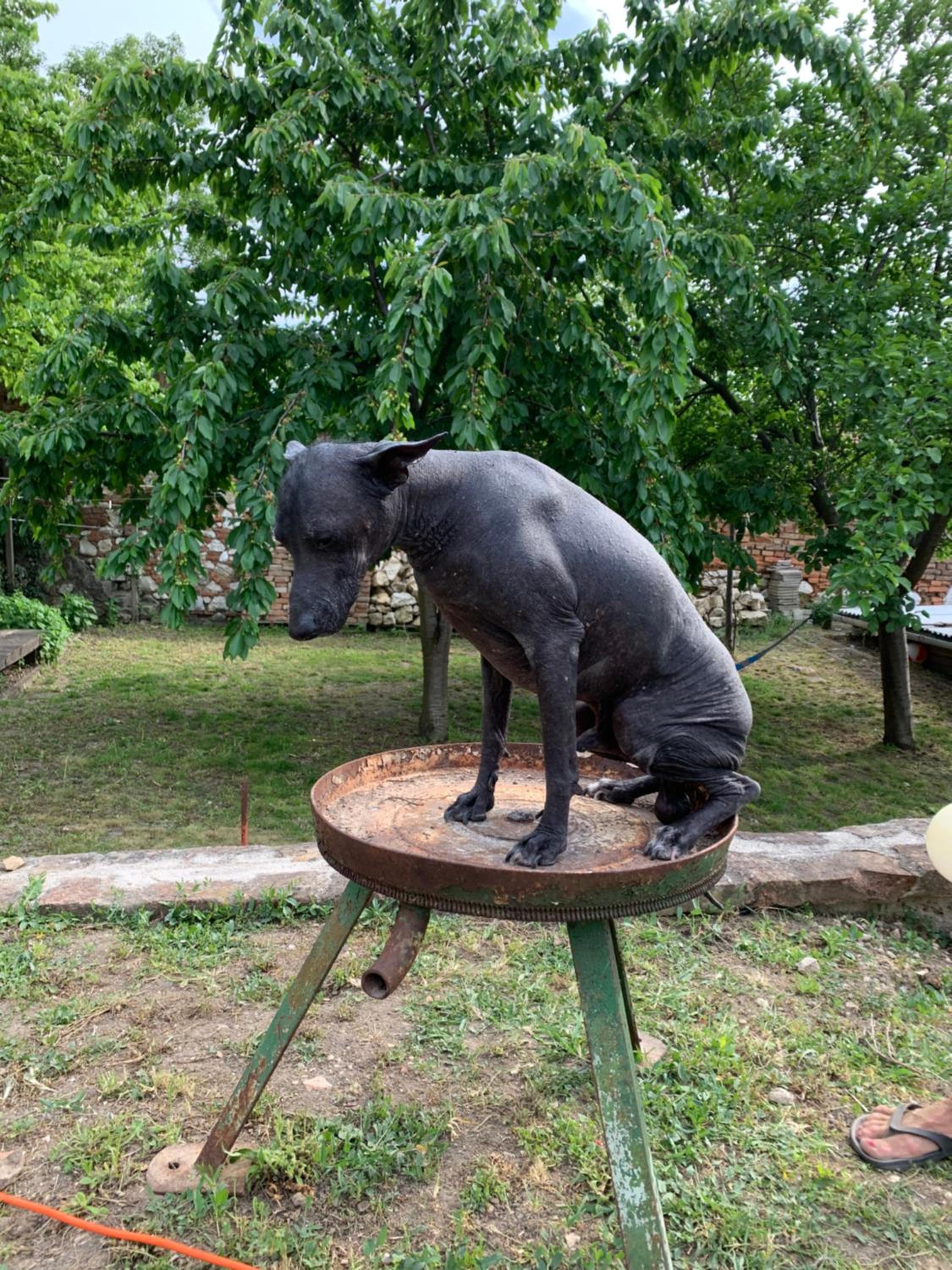 Pension Sebastian a vinný bar Prostě SKLEP