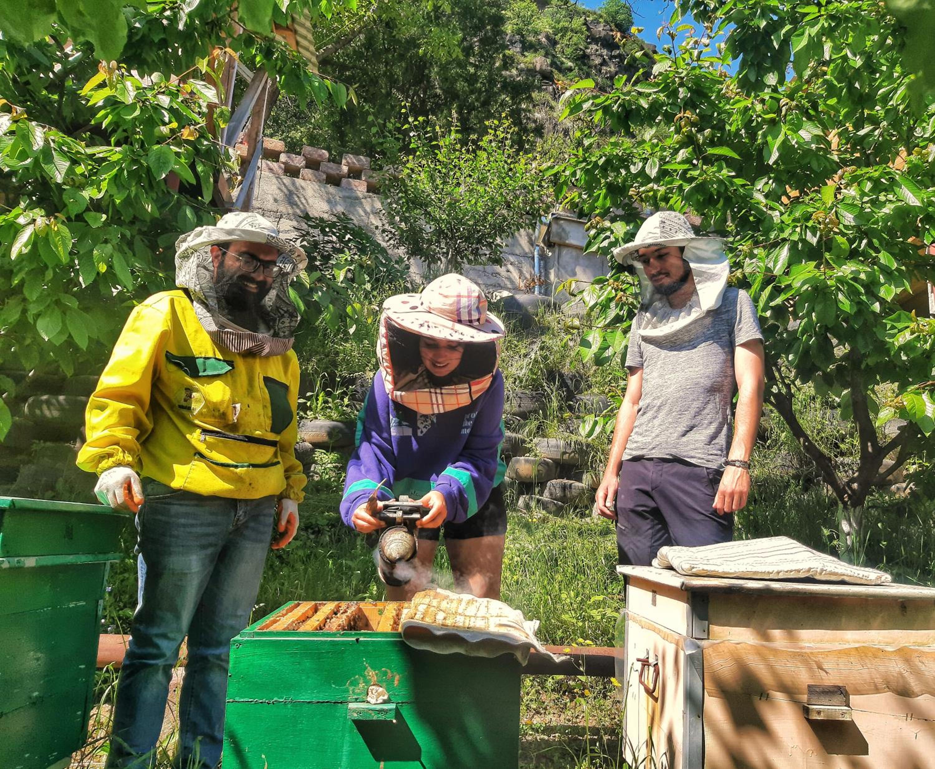 ARMBEE Honey Farm