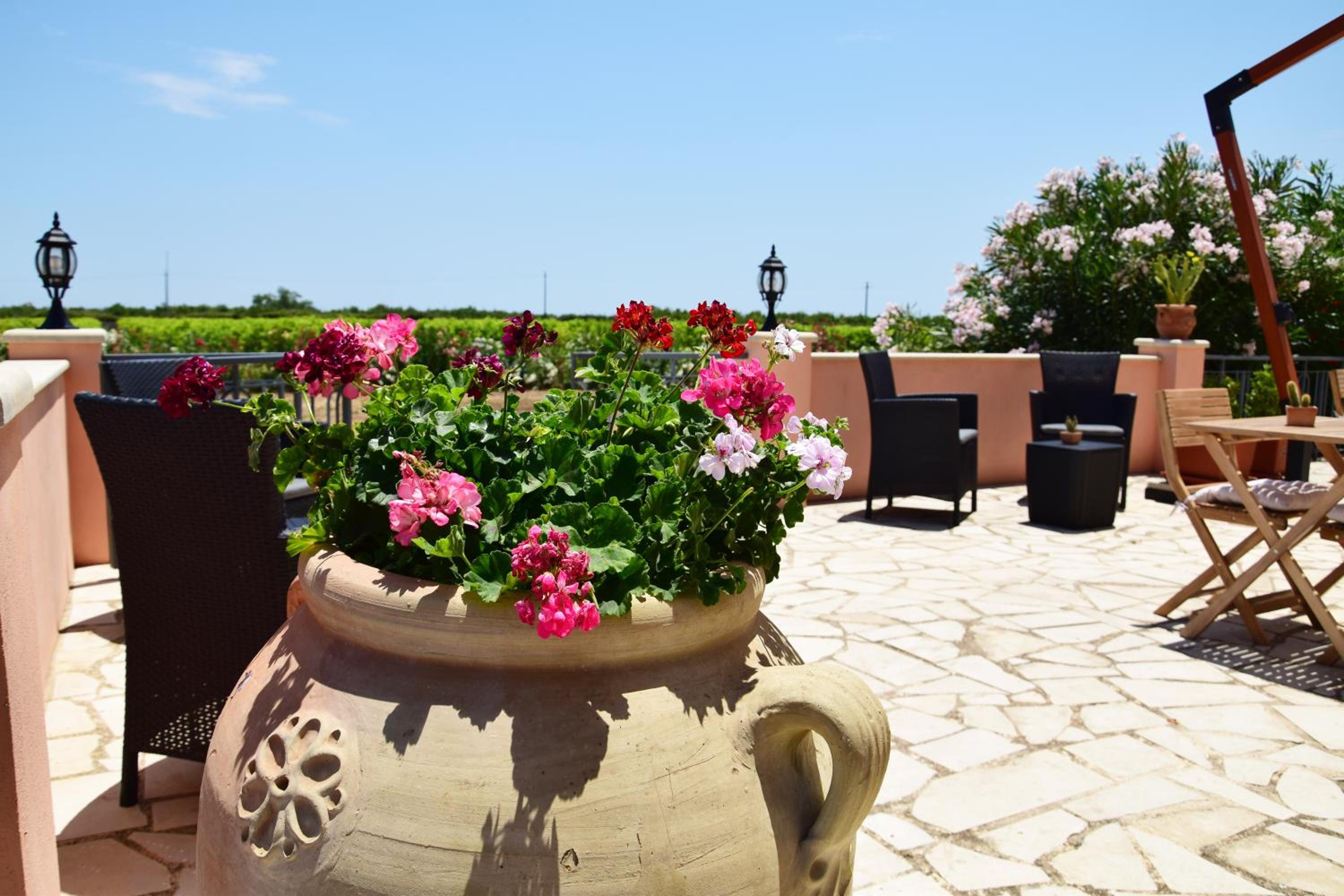 balance & terrace