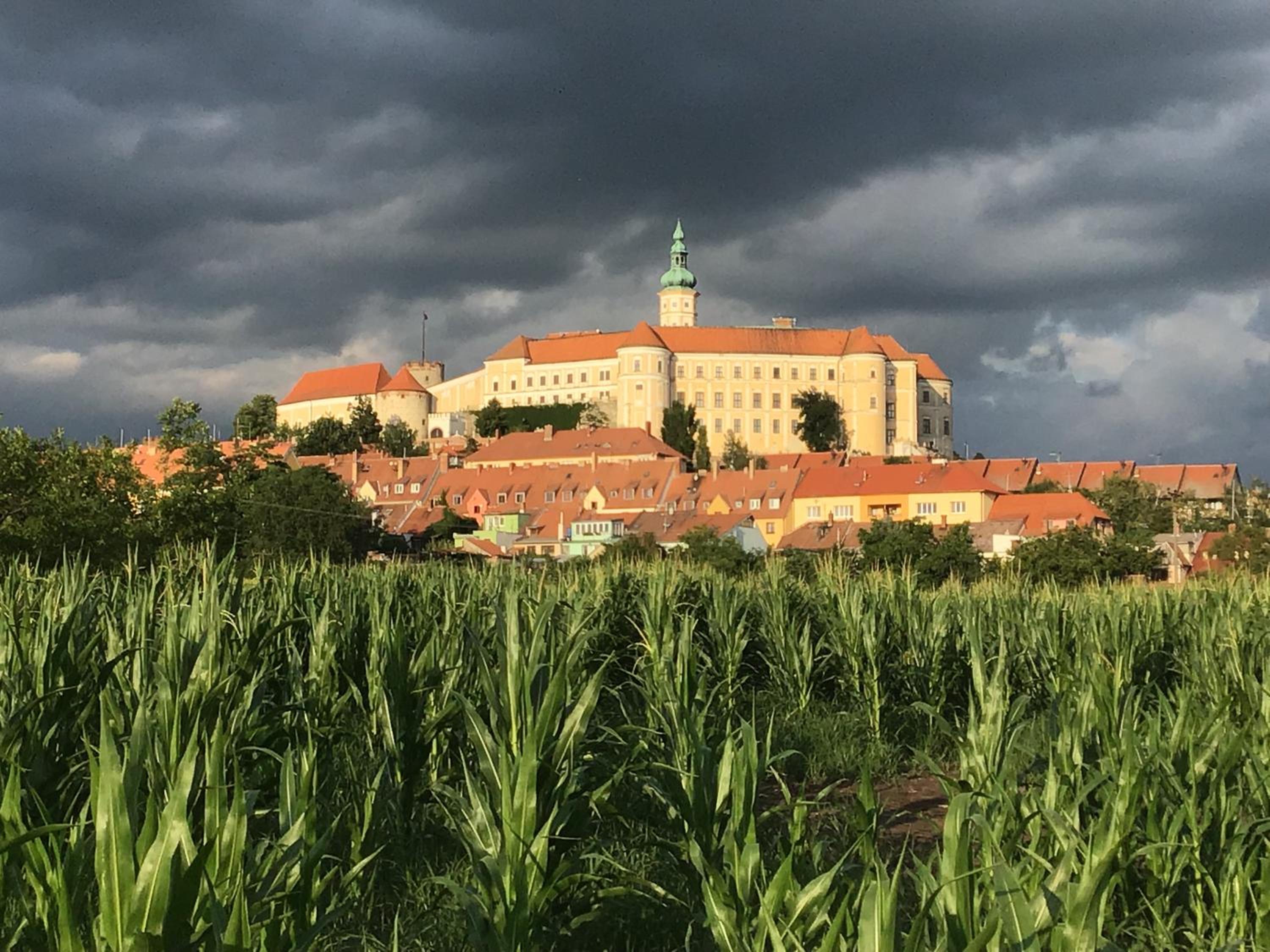 Pension Sebastian a vinný bar Prostě SKLEP