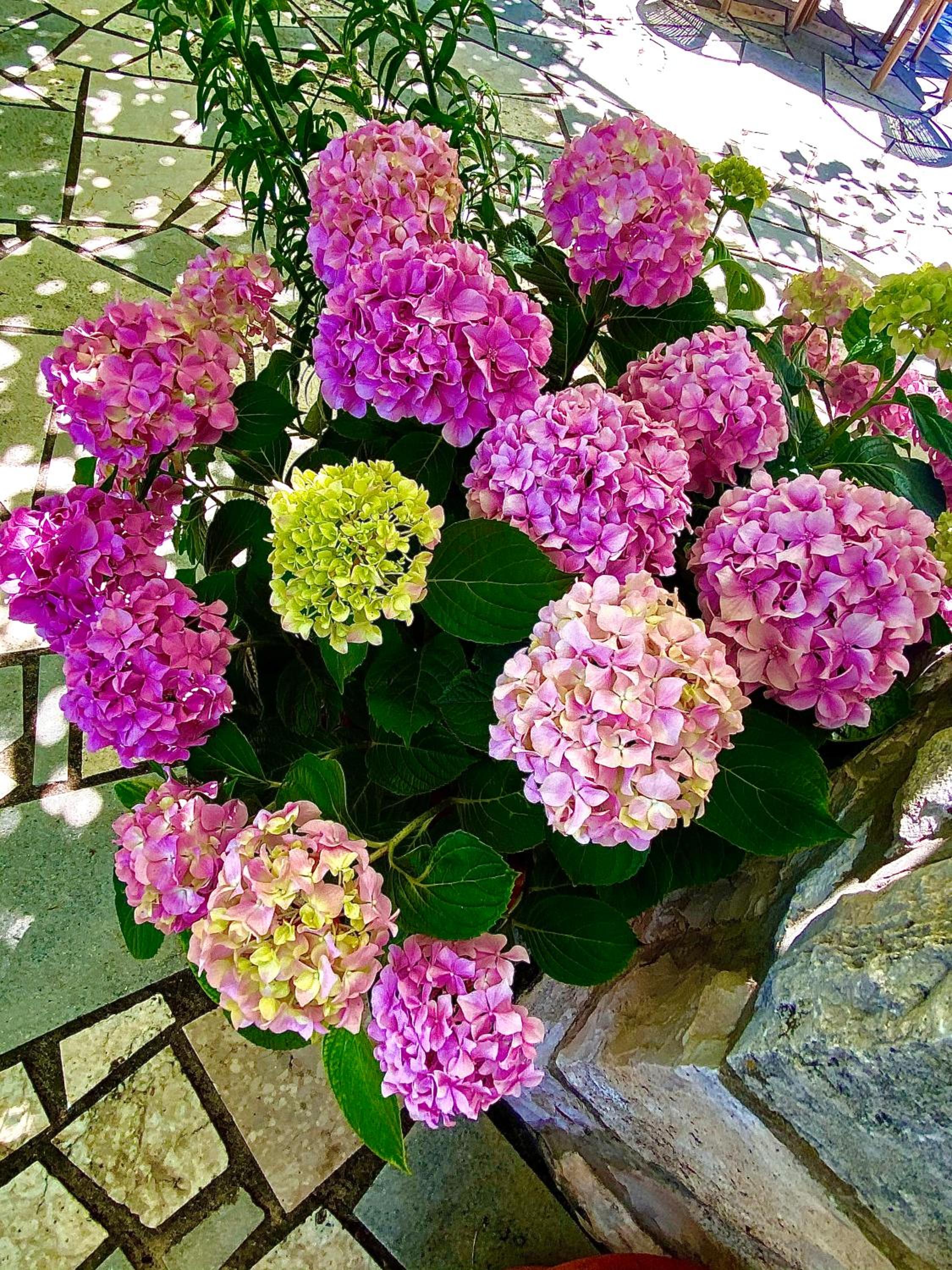 Photo 29