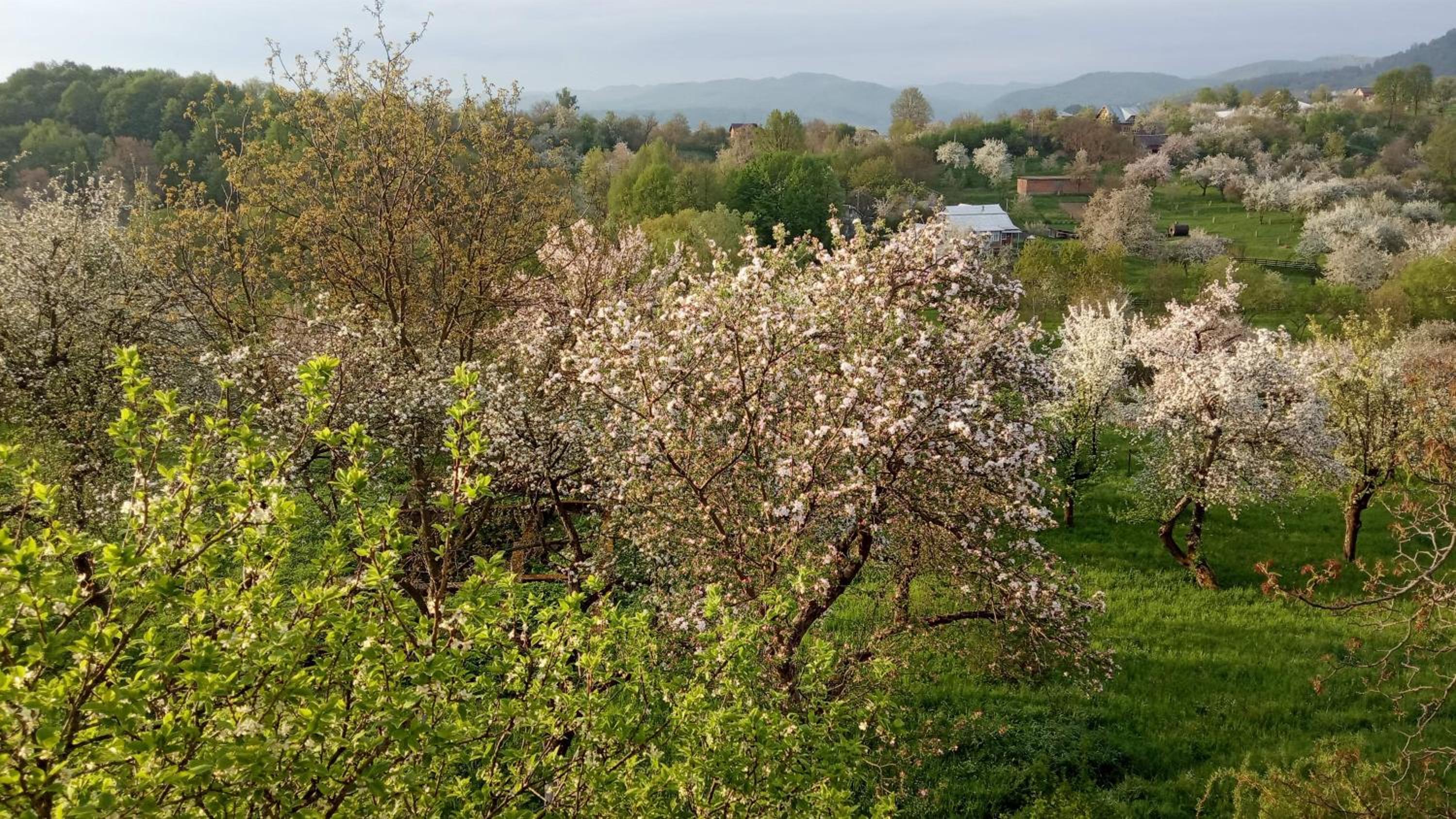 Photo 30