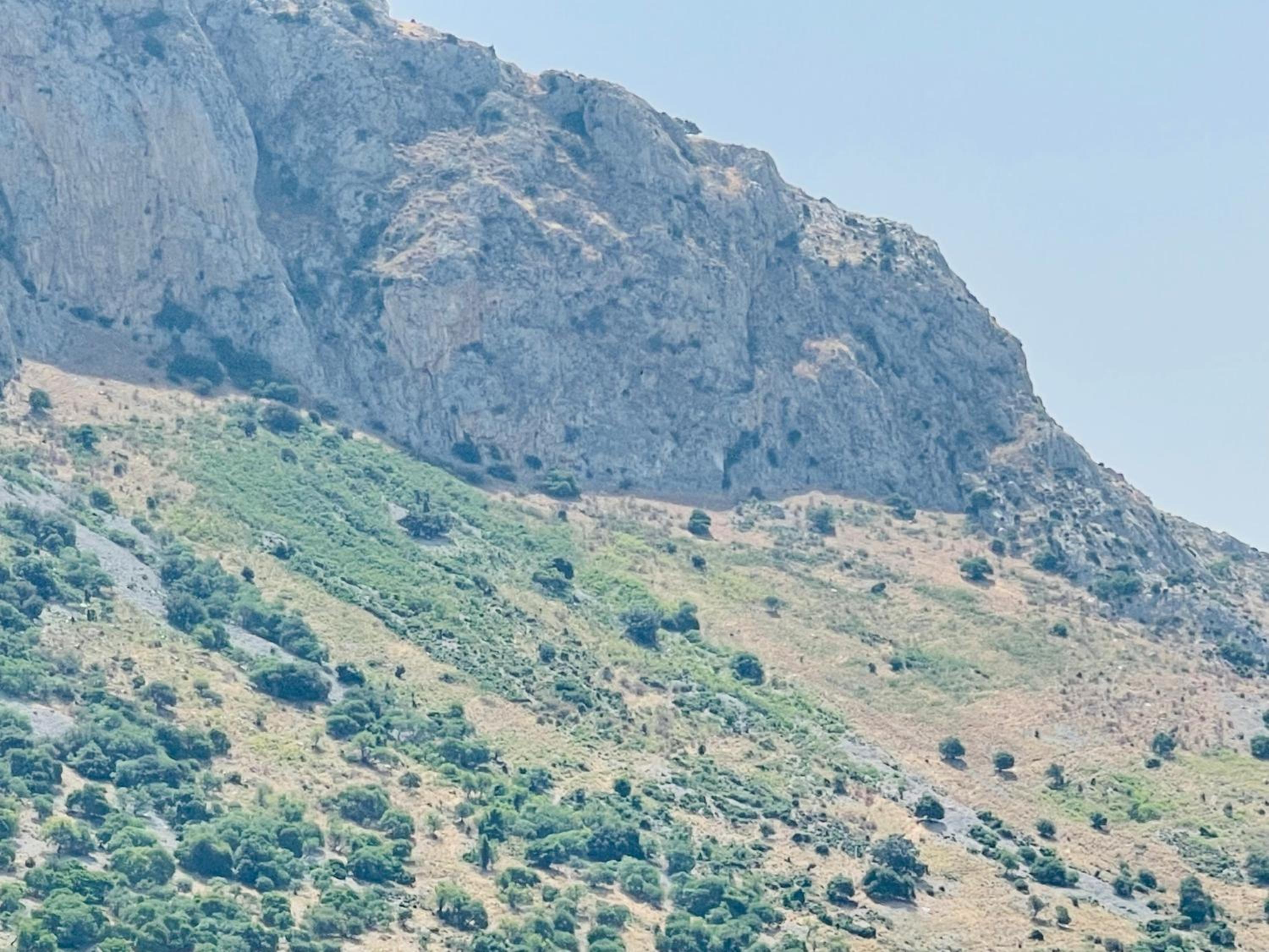 Photo 44