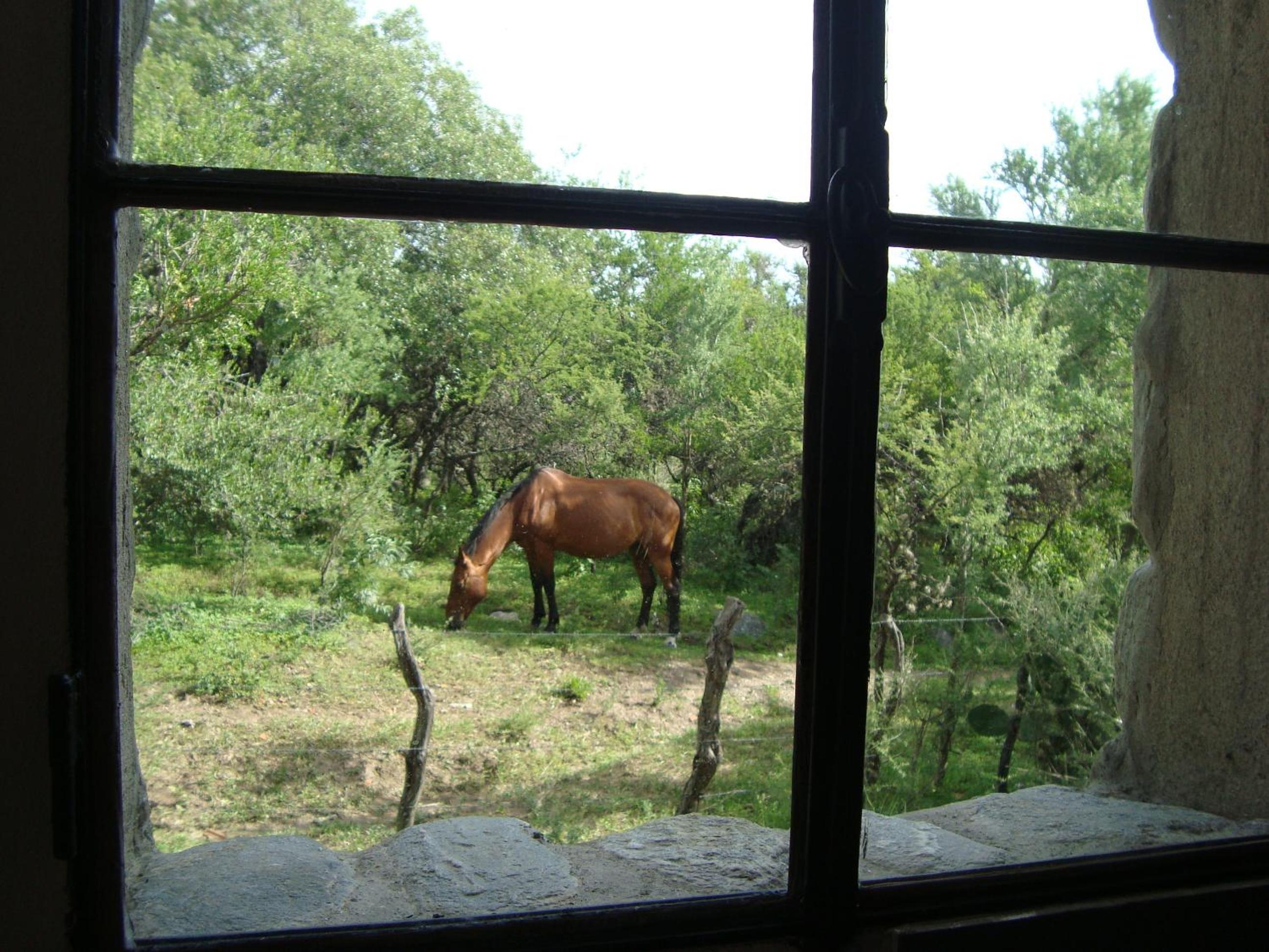 Cabañas en Piedras Maia