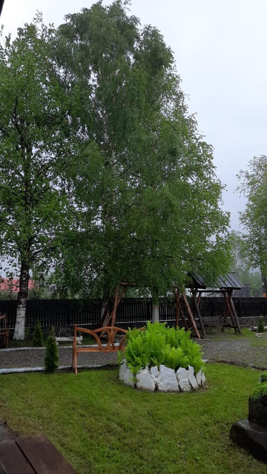 Photo 26