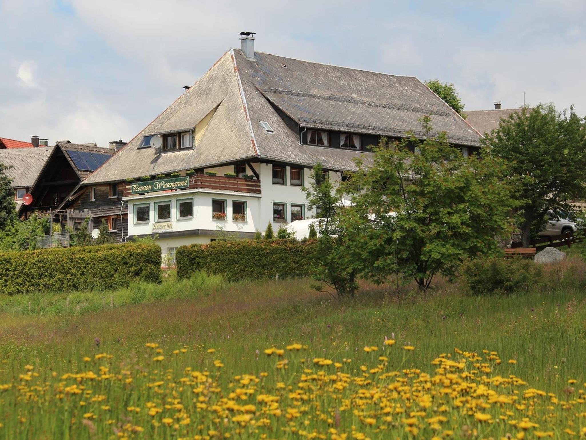 Pension Wiesengrund - Property Image 23