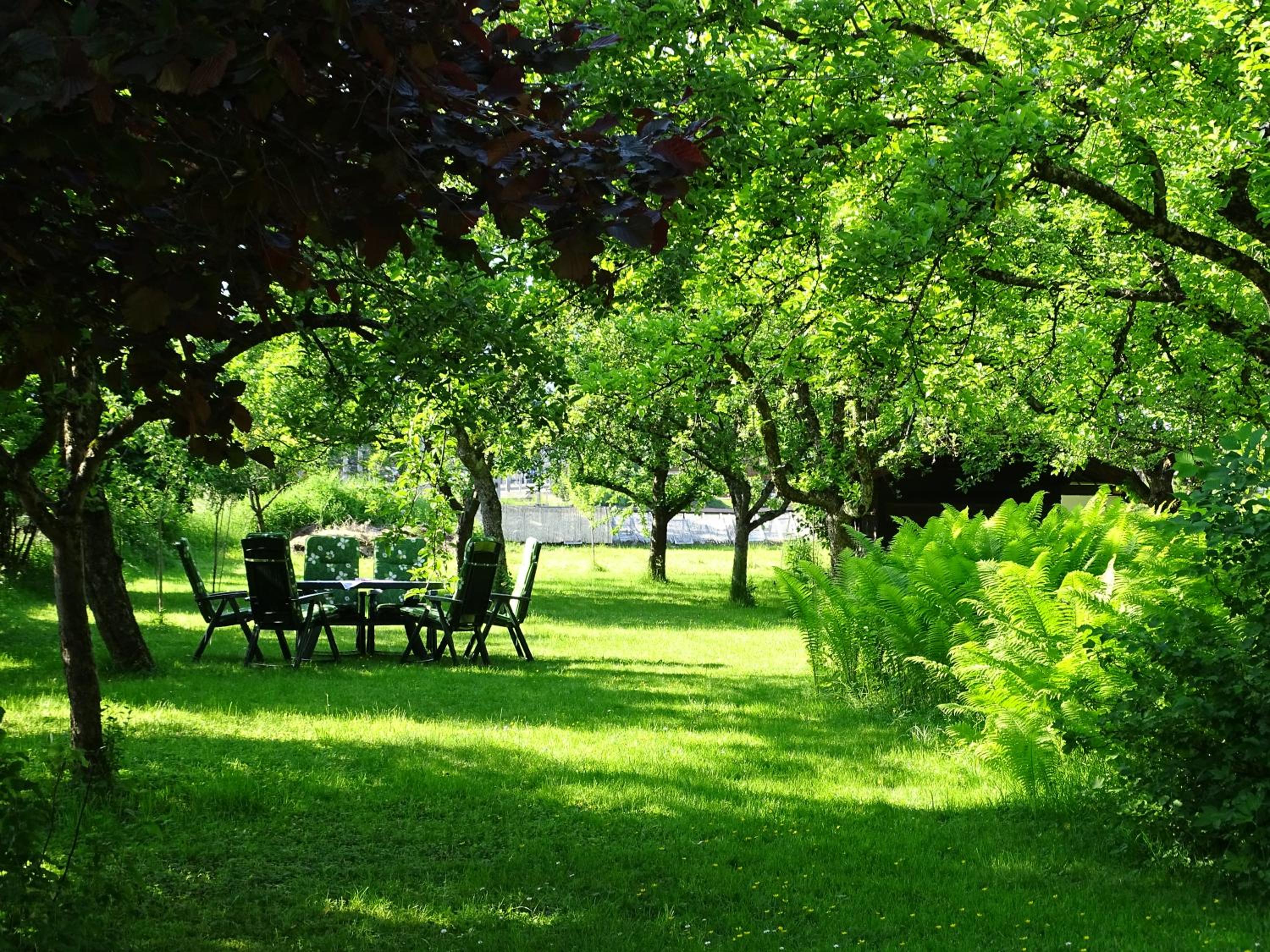 Pension Rainhof view 5