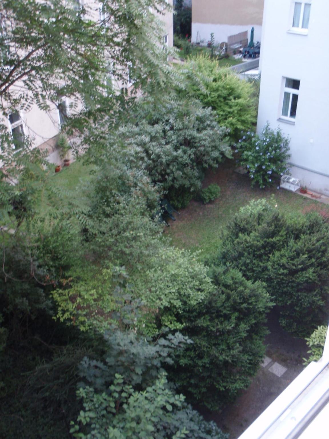 Augartenblick Penthaus 14 - Blick zum Riesenrad