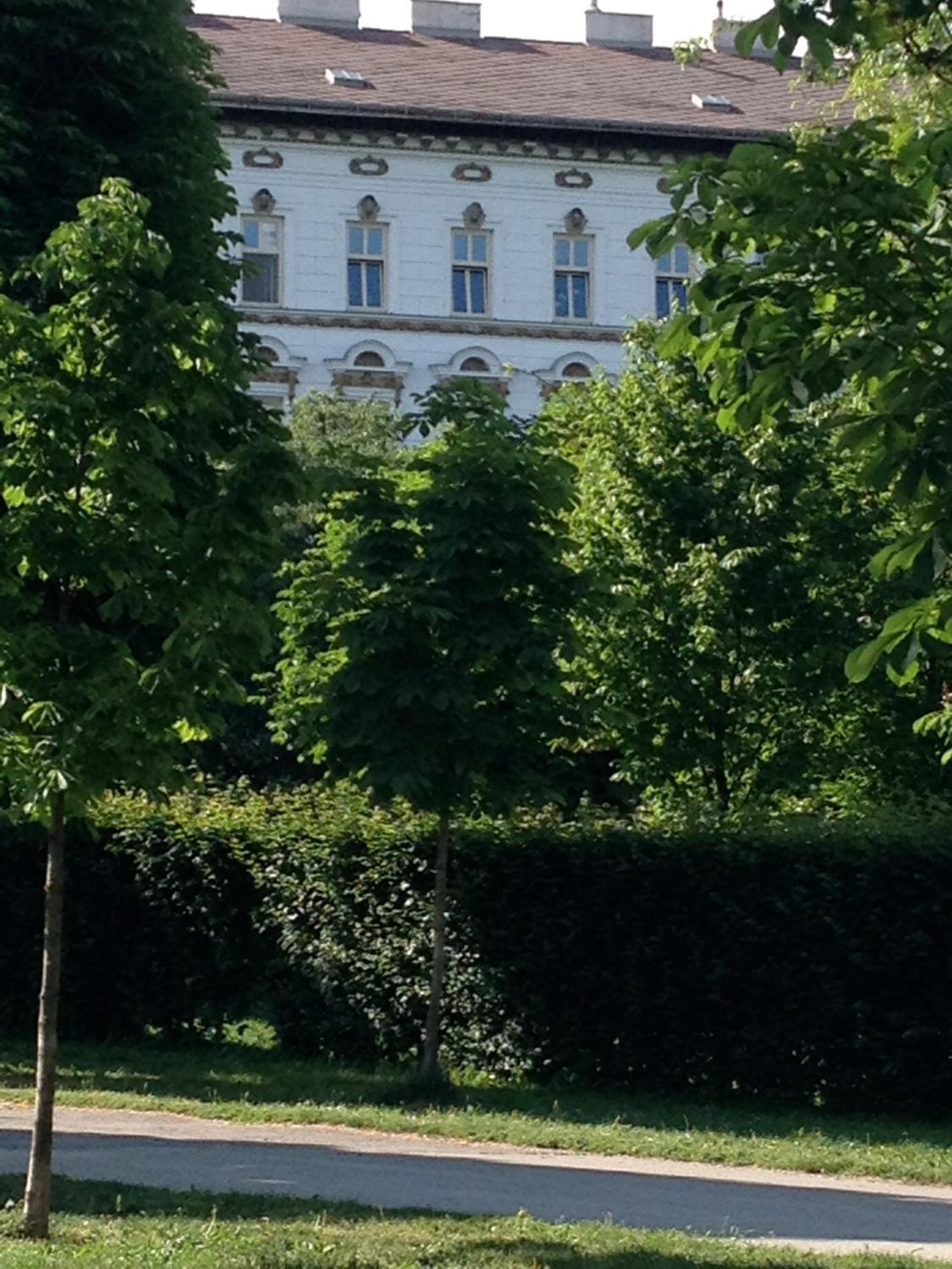 Augartenblick Penthaus 14 - Blick zum Riesenrad