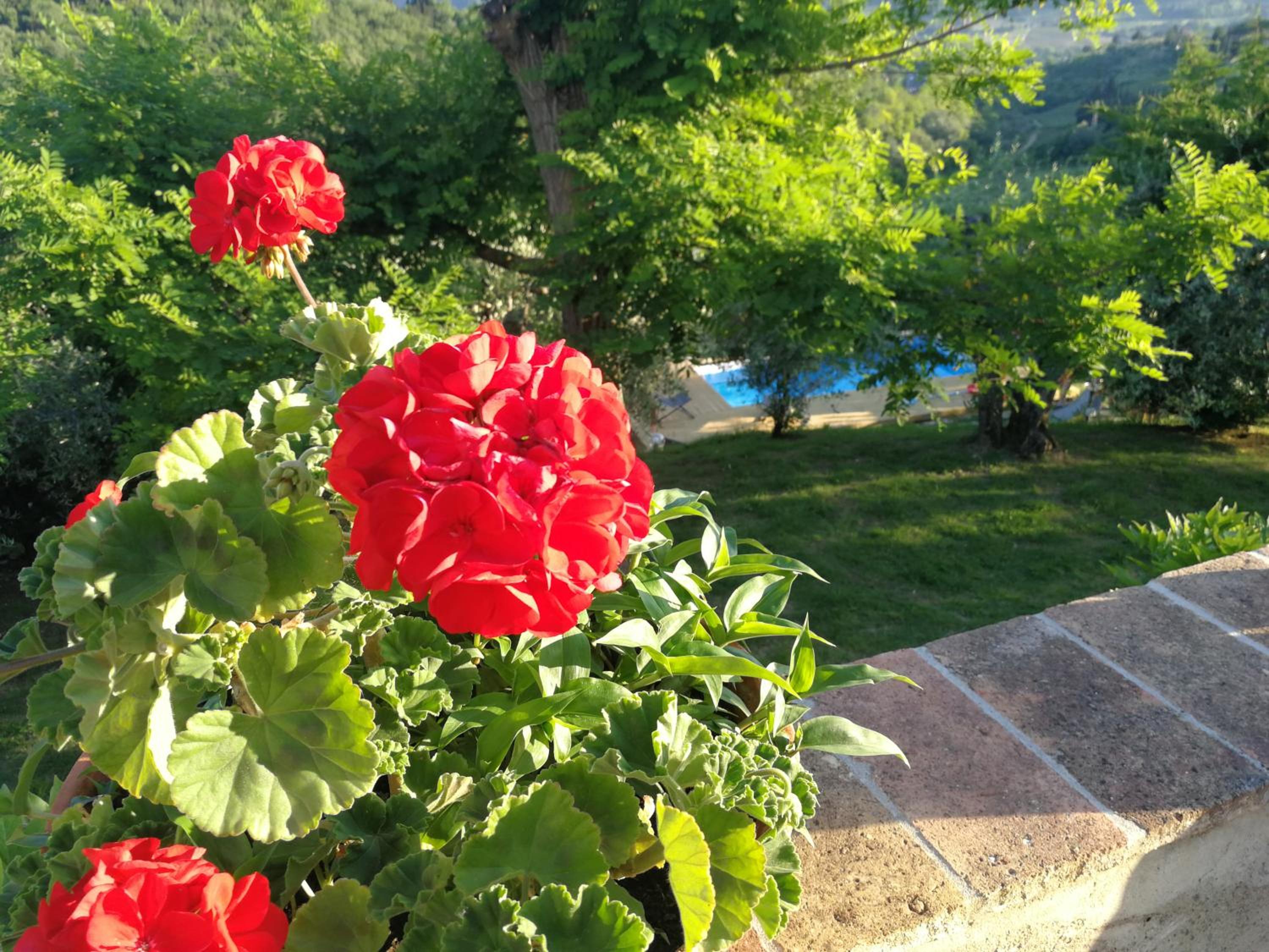 Le Massucce view 5