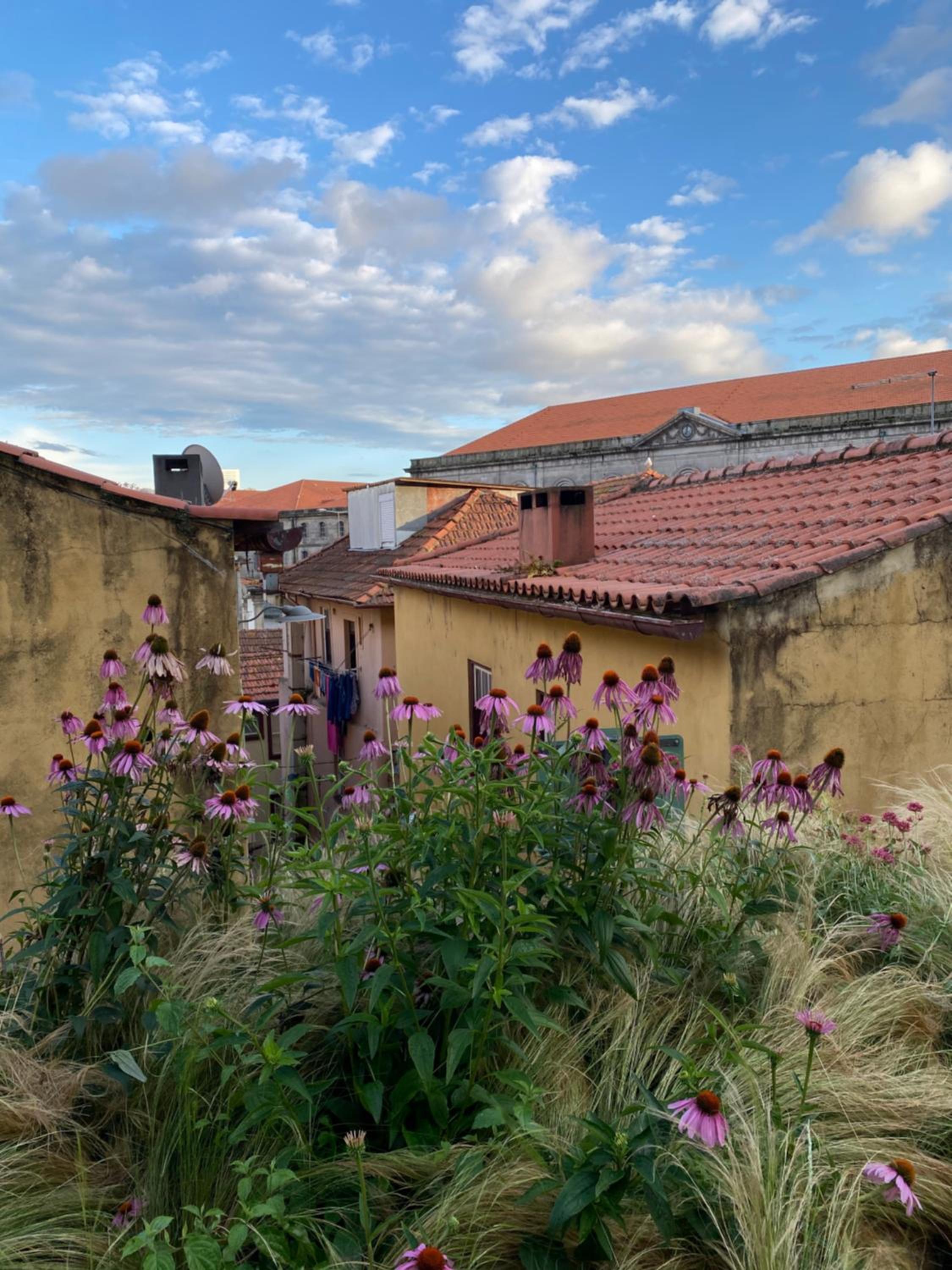 My Little Porto - Charming house in Miragaia, Porto view 2