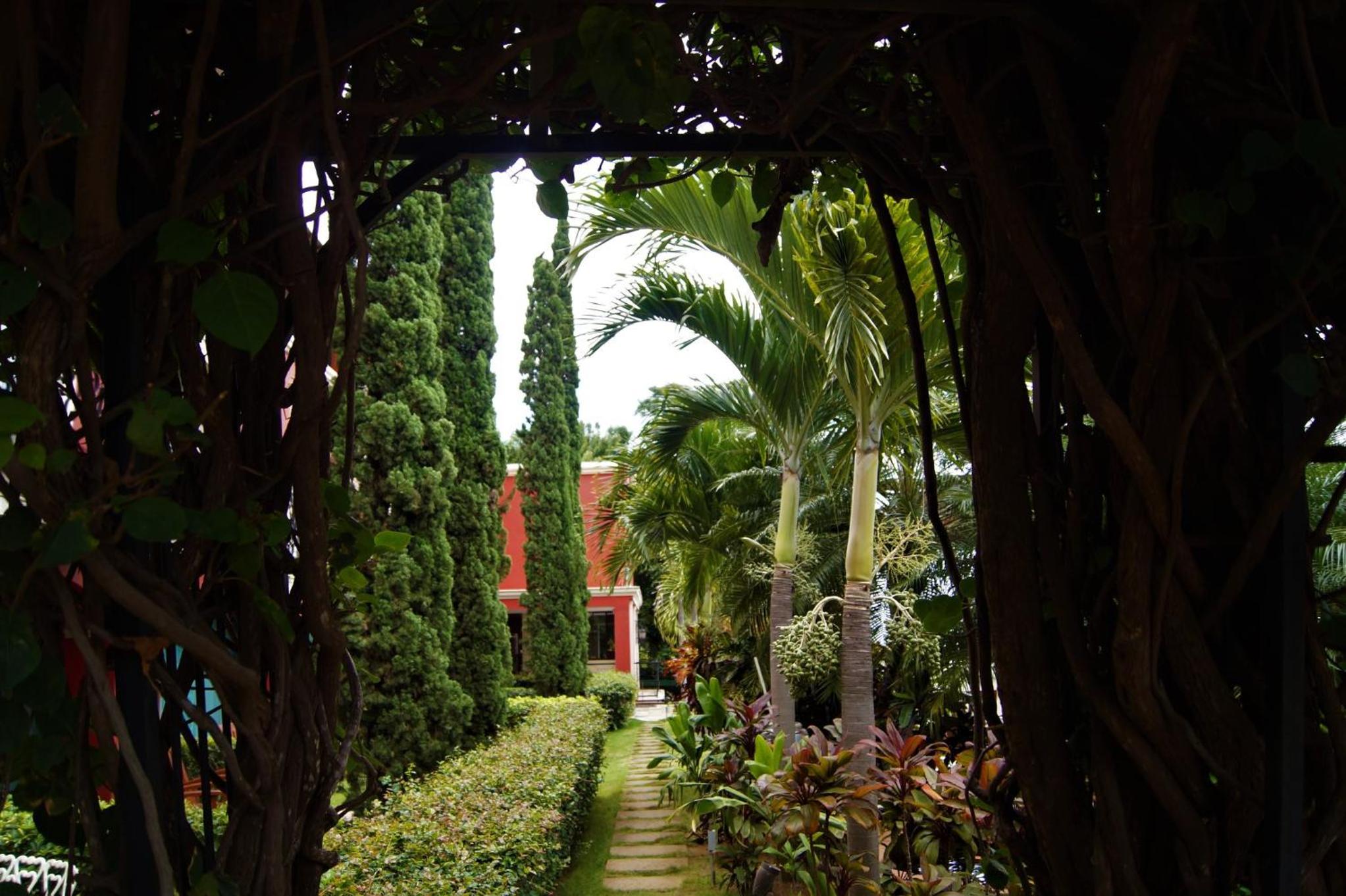 Photo 16