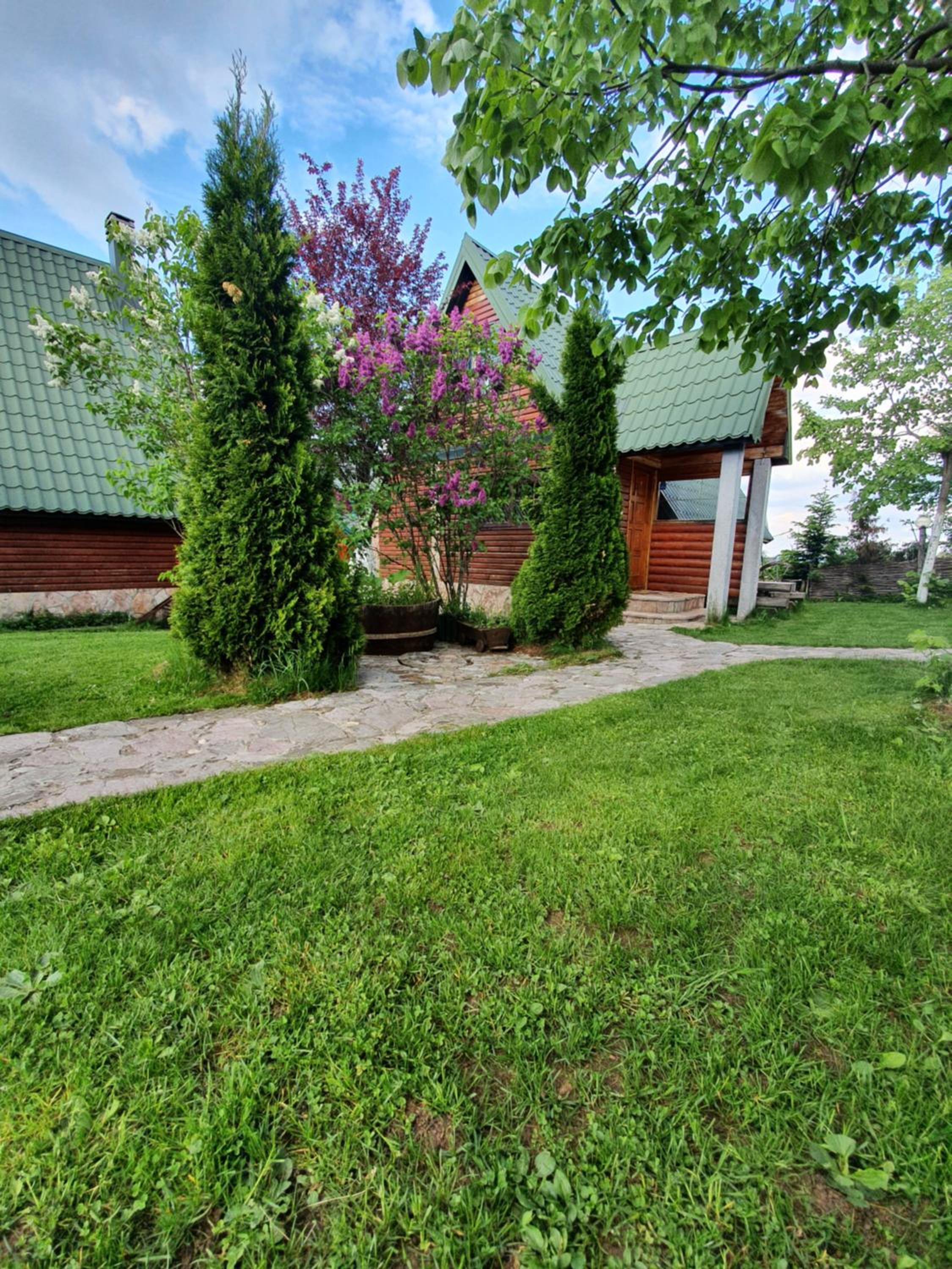 Photo 51