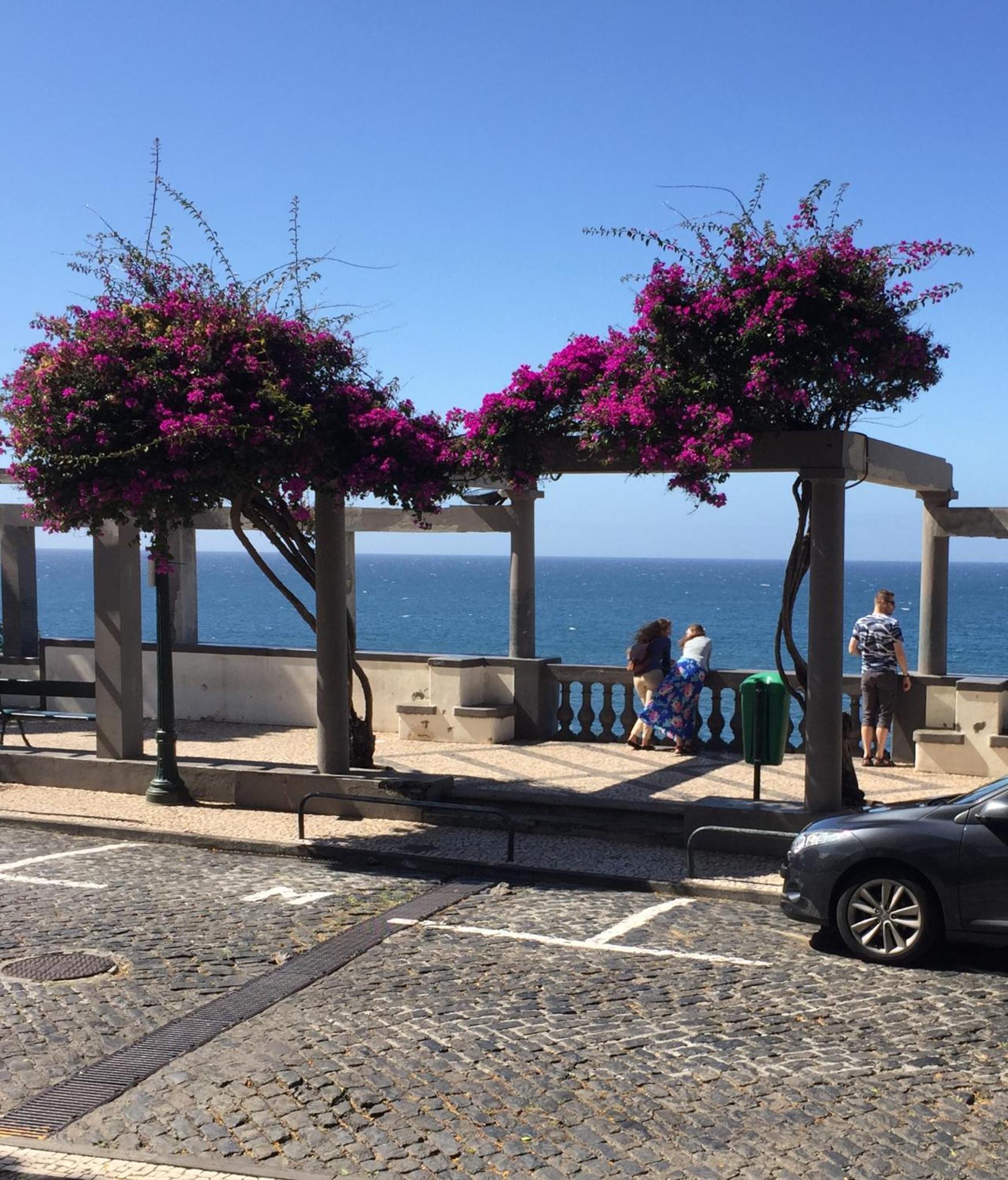 Vitorina Corte Guesthouse