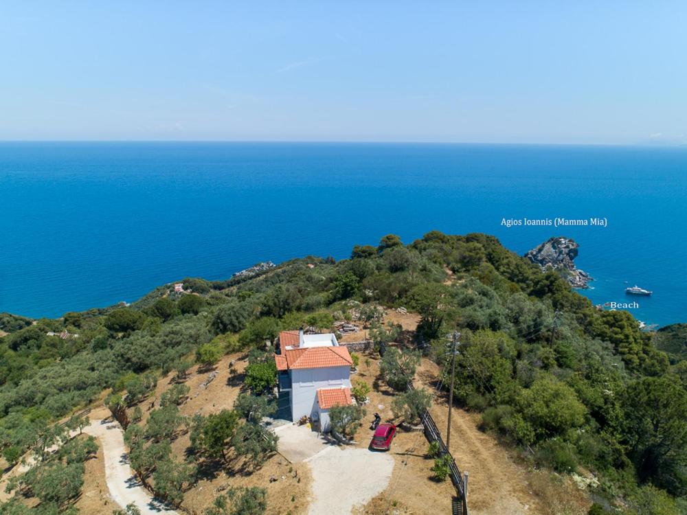 Villa Rose