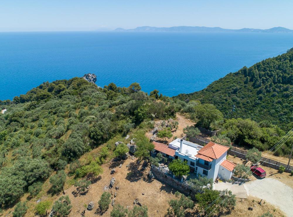 Villa Rose