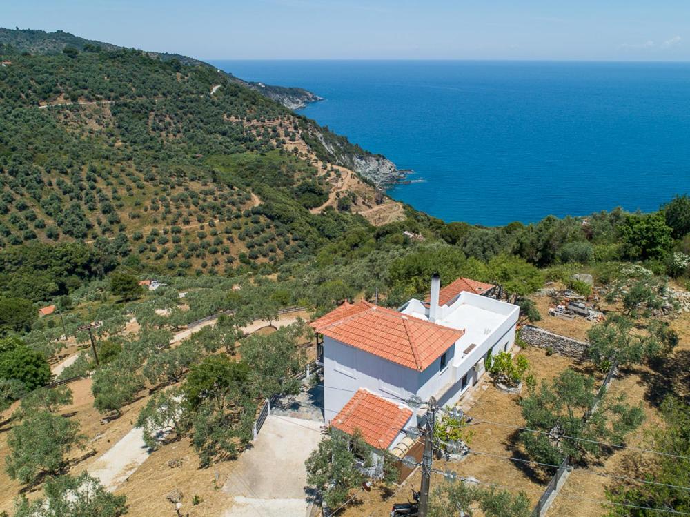 Villa Rose