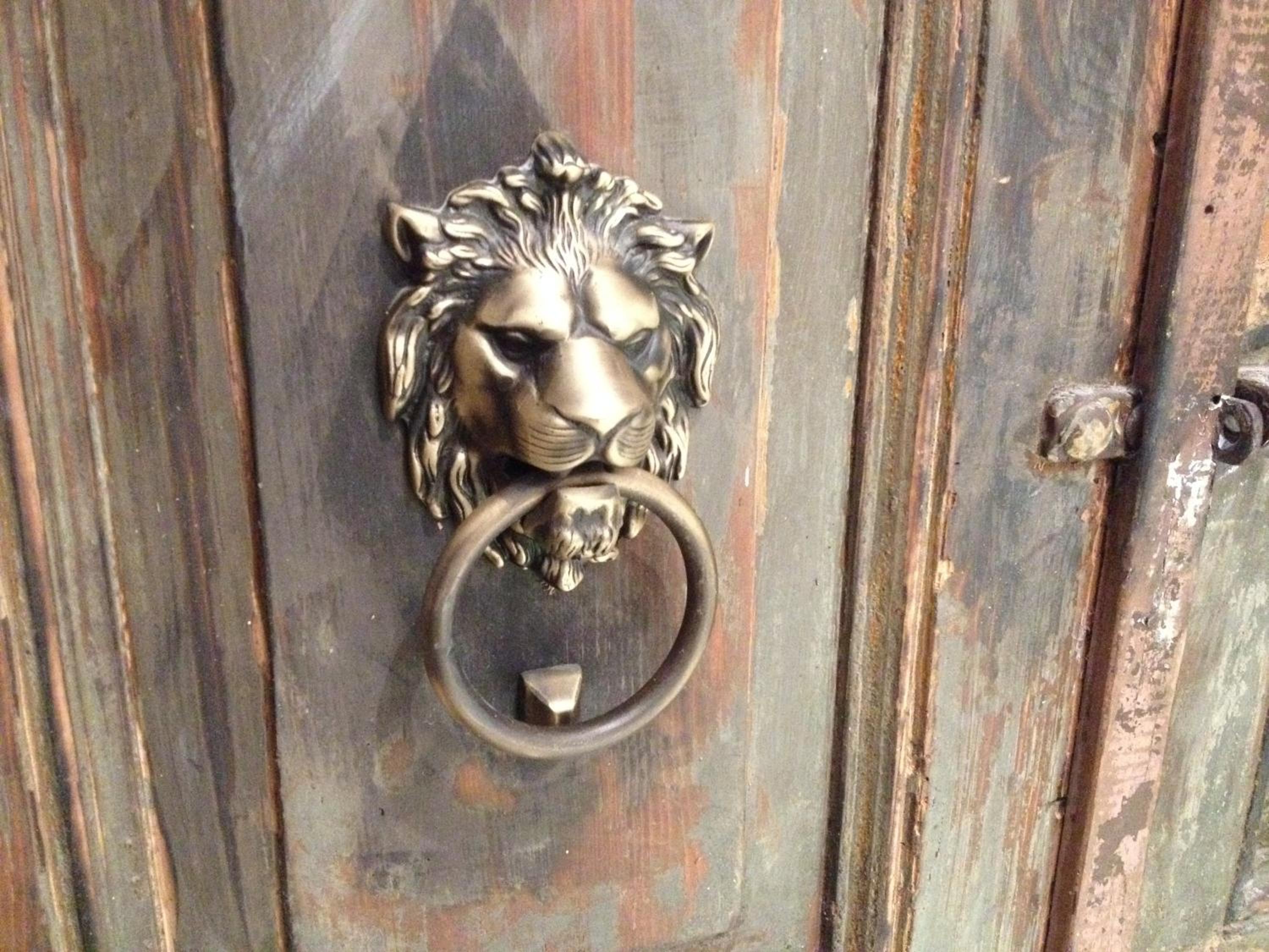 Istanberry - Berry Life Daireler - Image 115