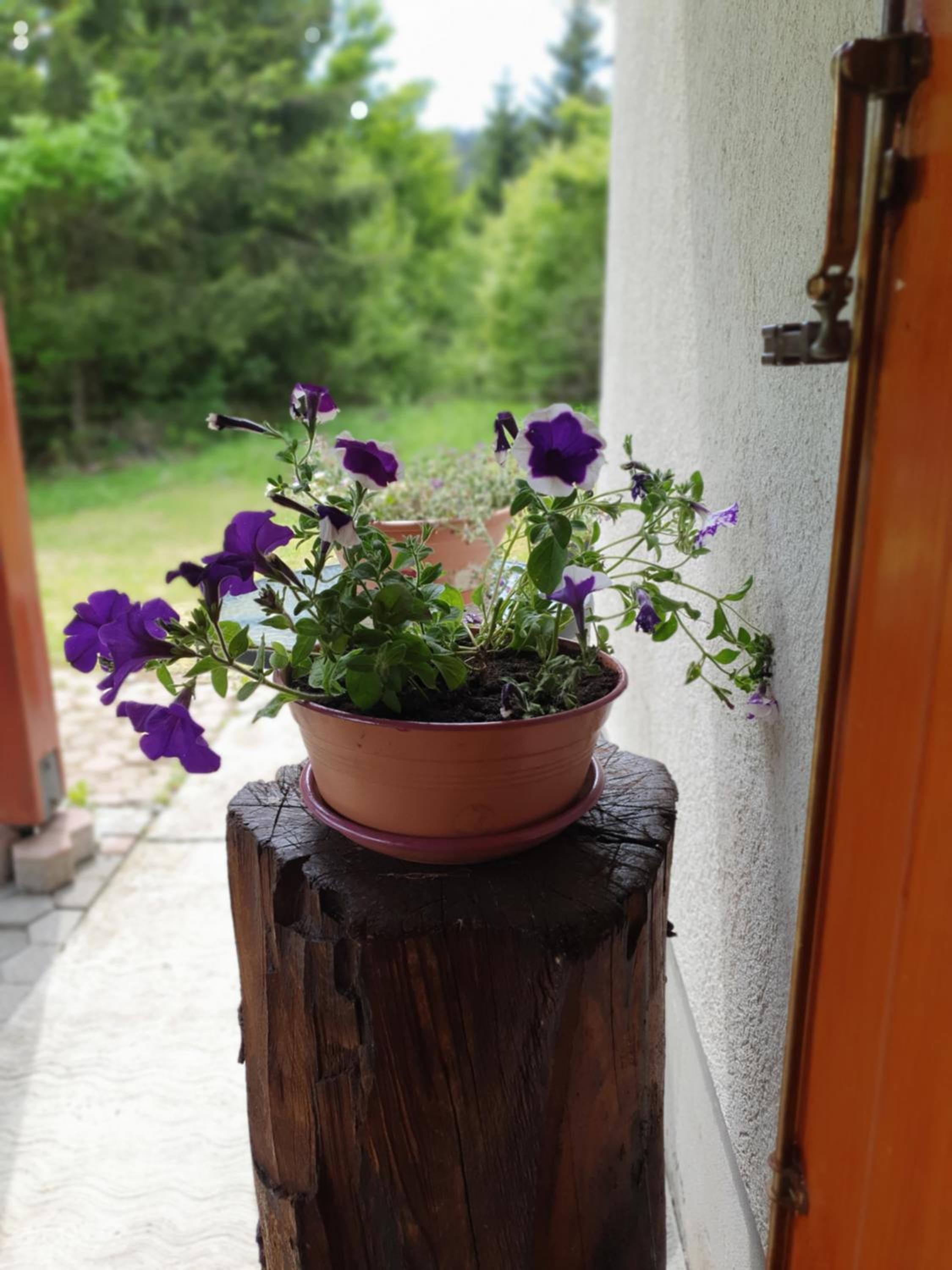 Photo 33