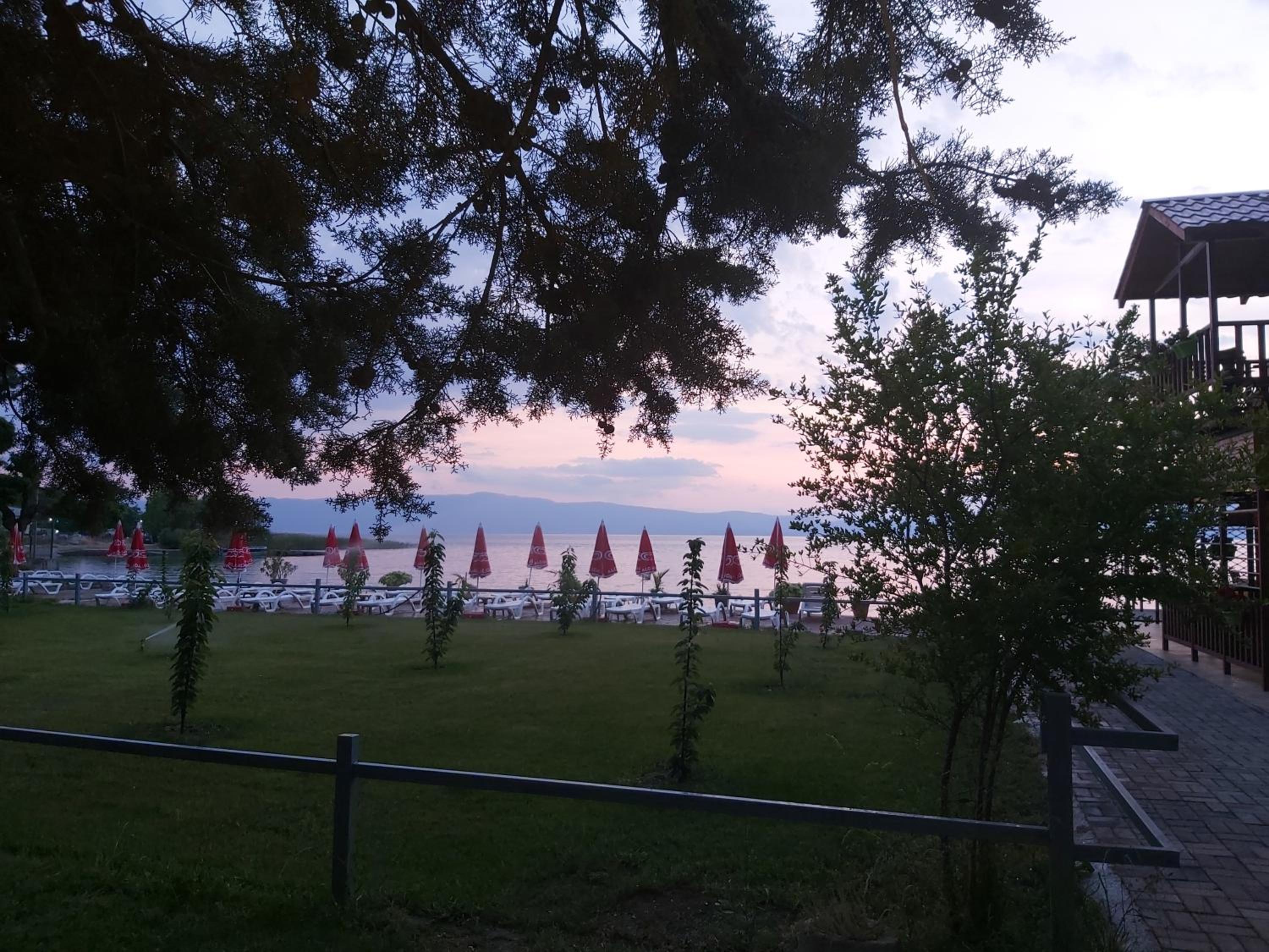 Photo 42