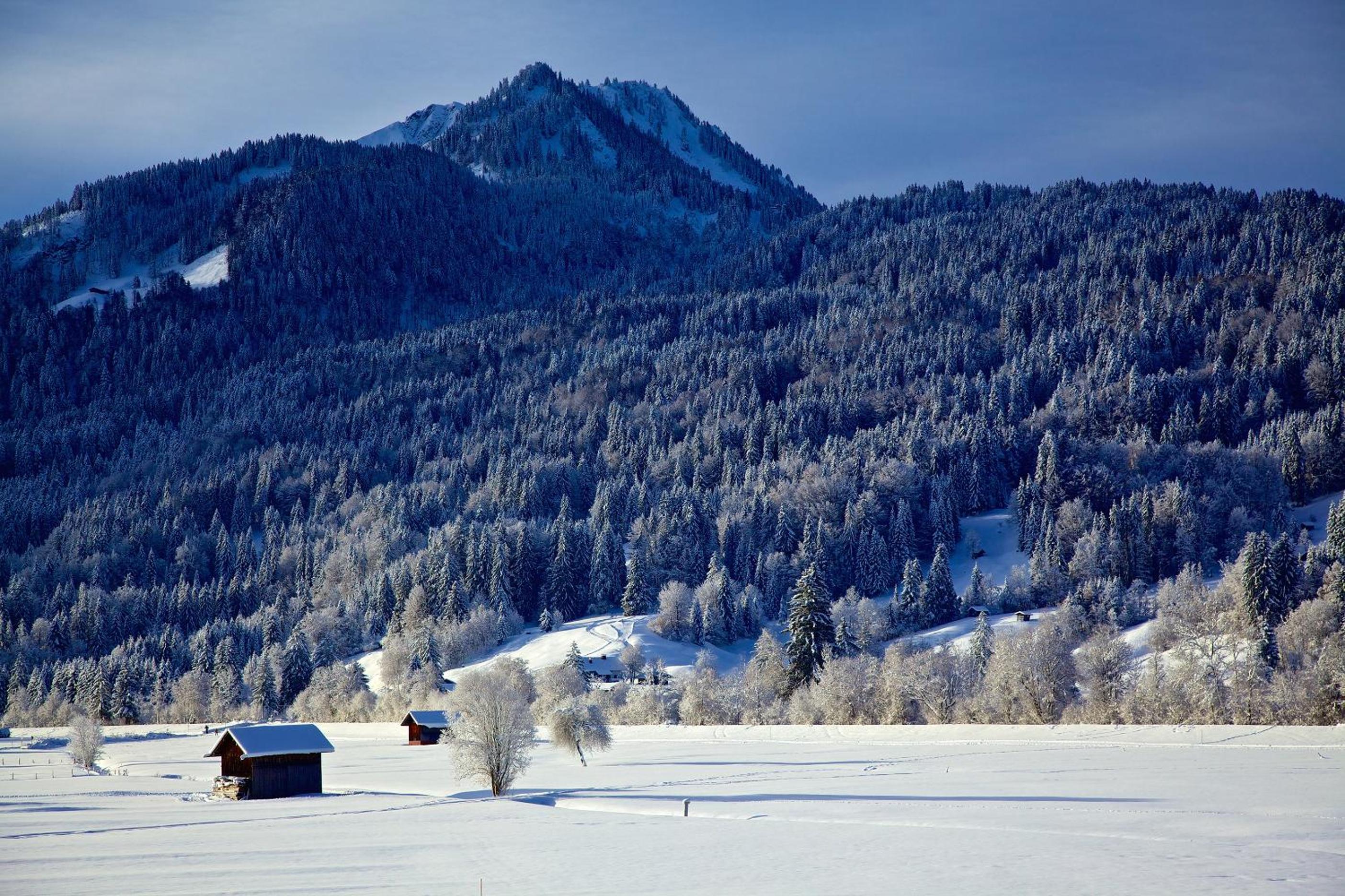 Gästehaus Weller