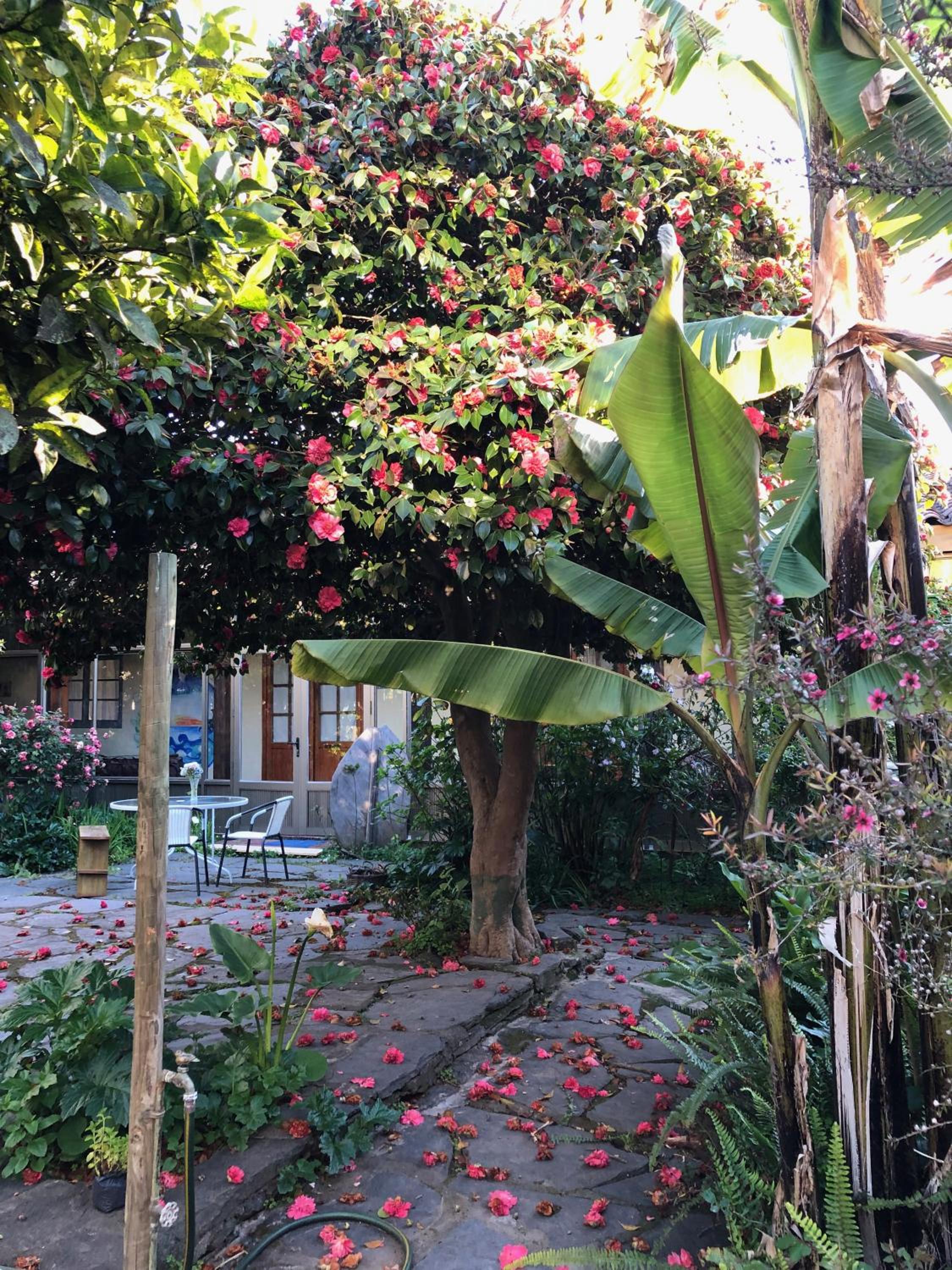 Casona Patrimonial Cobquecura Hotel Boutique