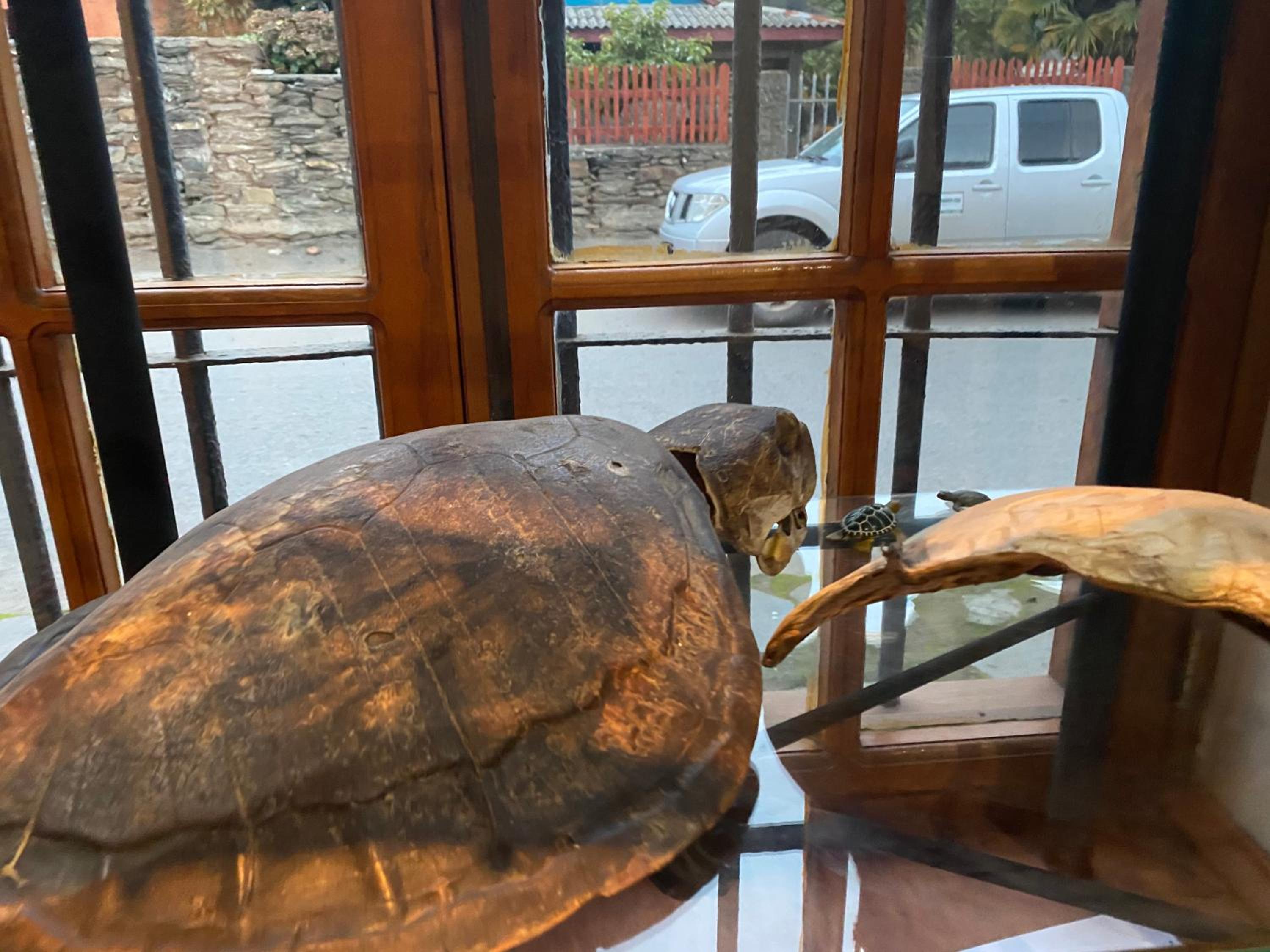 Casona Patrimonial Cobquecura Hotel Boutique