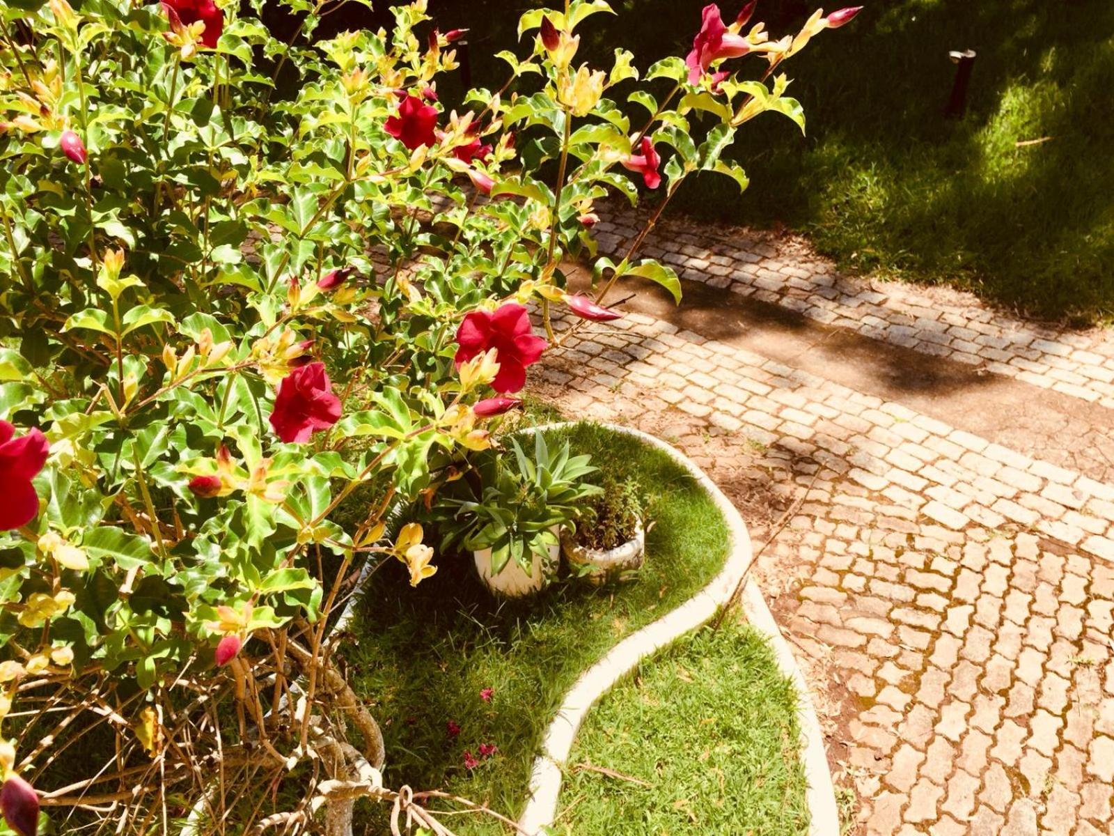 Hotel Fazenda Colina