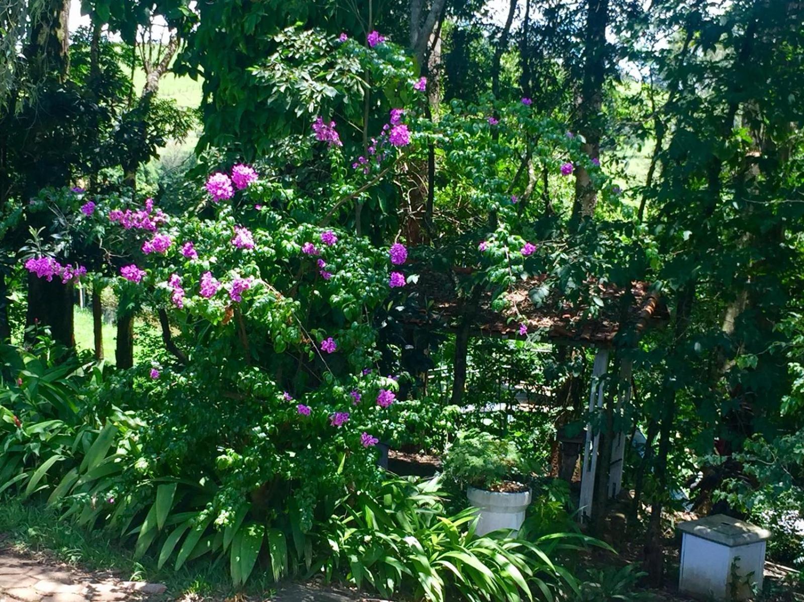 Hotel Fazenda Colina