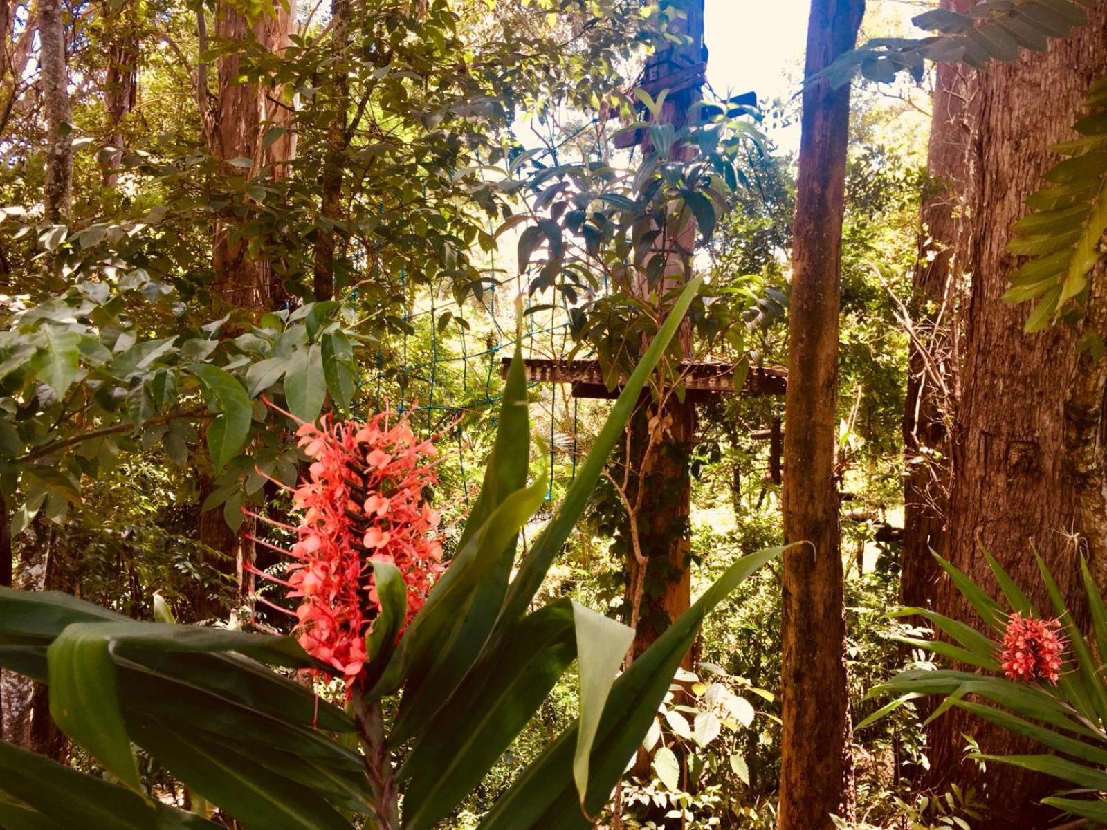 Hotel Fazenda Colina