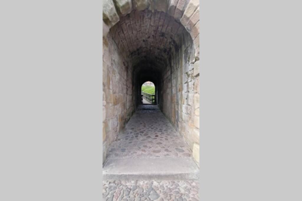 Photo 28