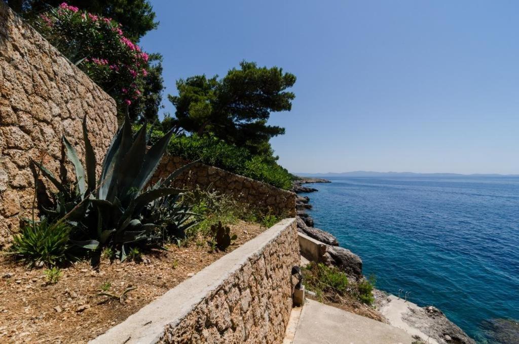 Apartments Plavac Mali