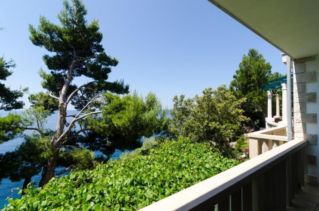 Apartments Plavac Mali