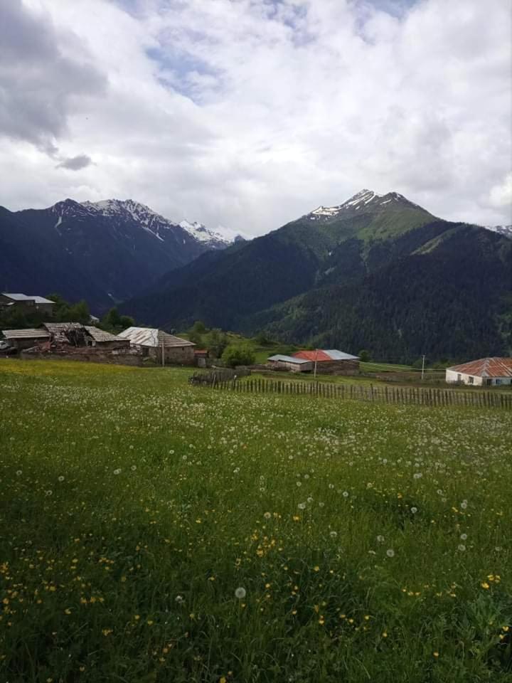 Photo 38