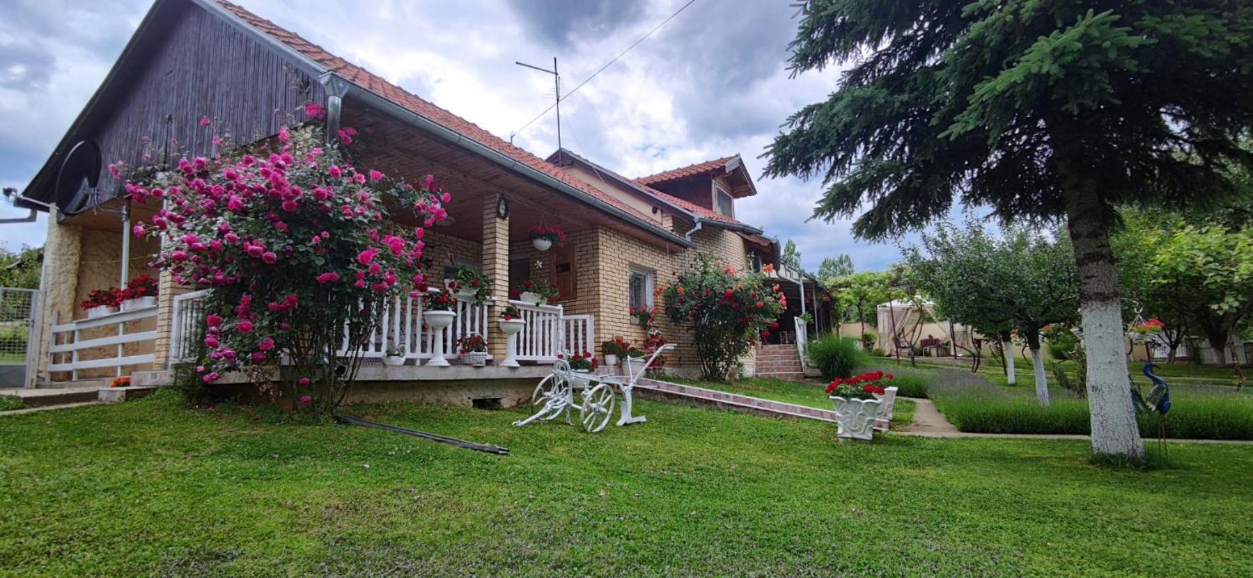 Oaza Čemerlić view 3