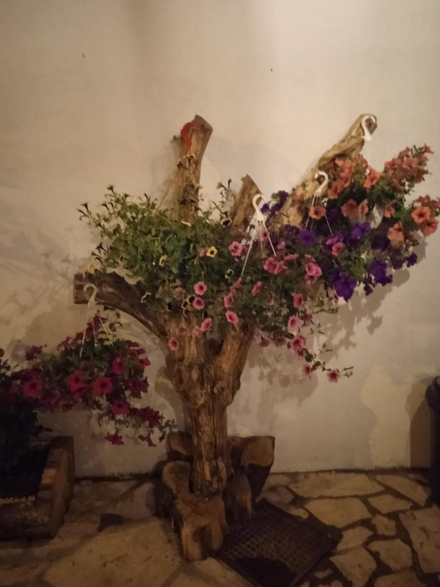 Photo 34