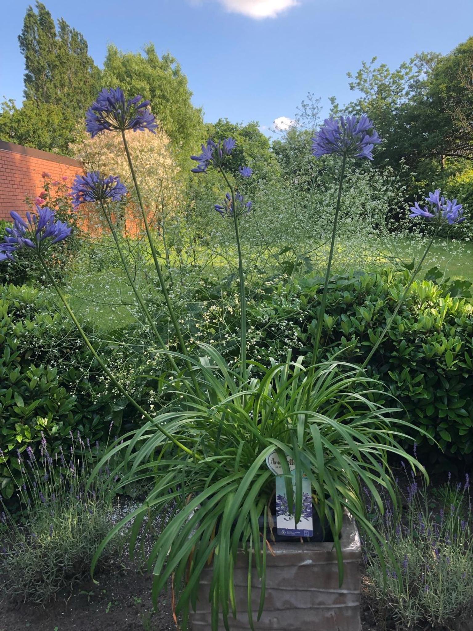 Beaux Temps b&b