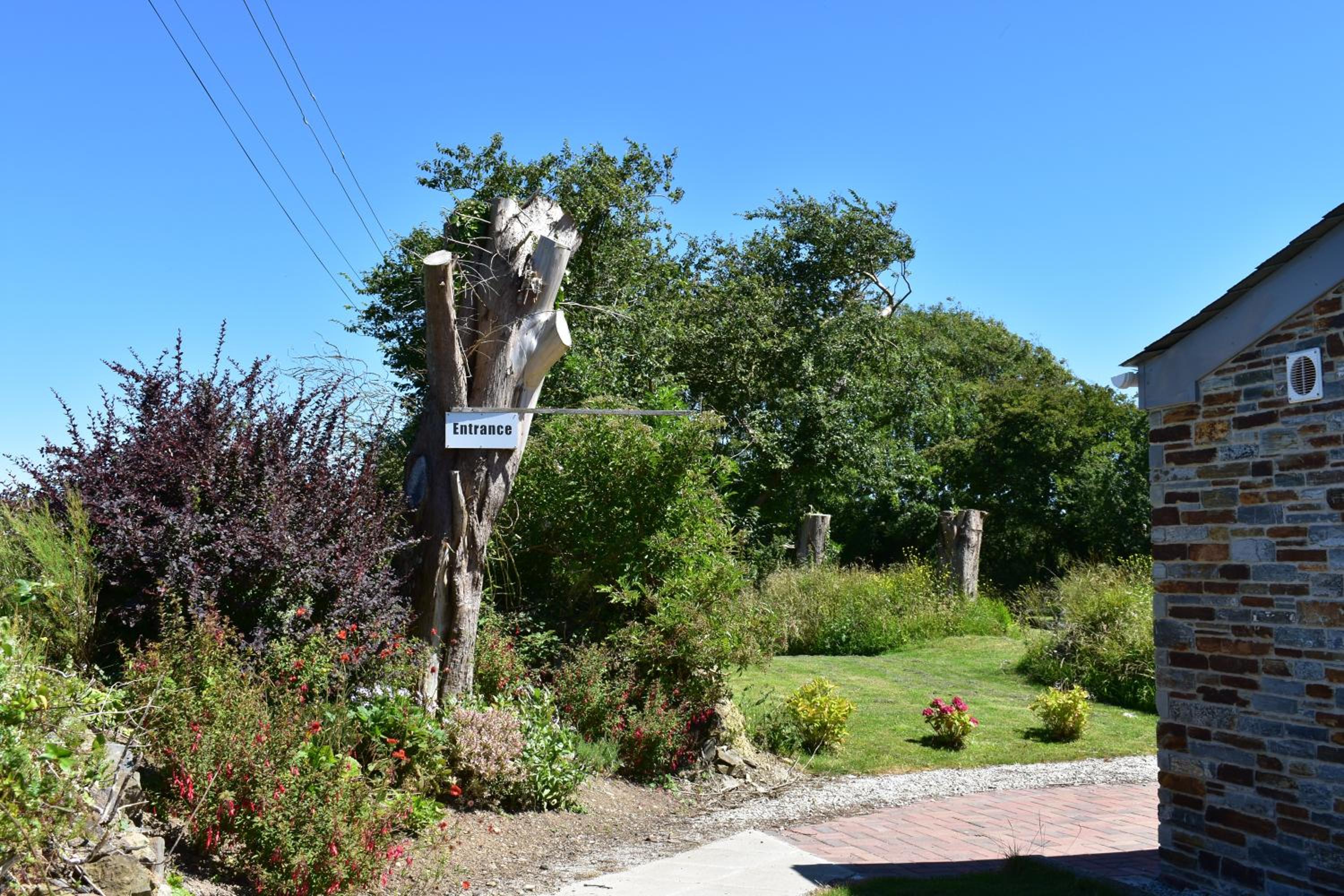 Photo 10