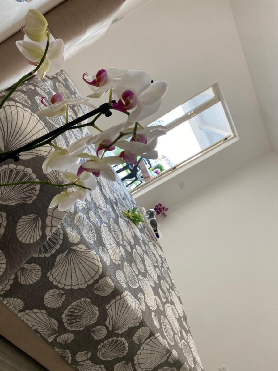 Mazzitelli Apartment