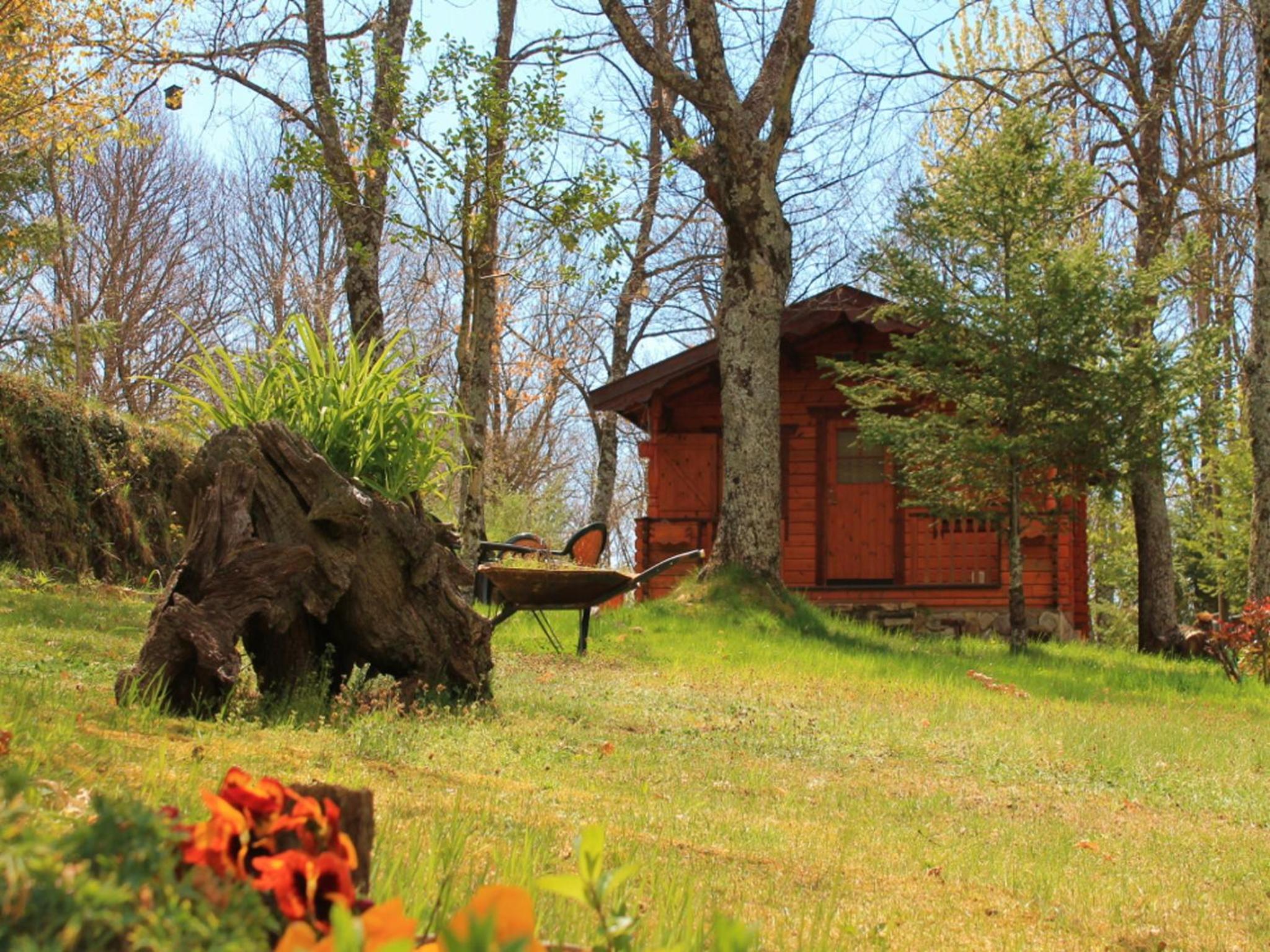 Cabañas de Madera Sanabria
