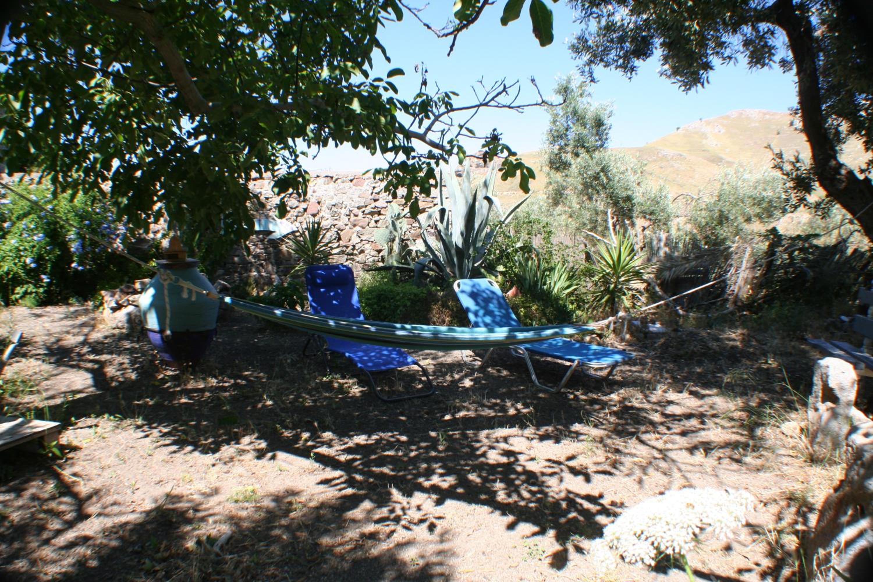 Photo 52